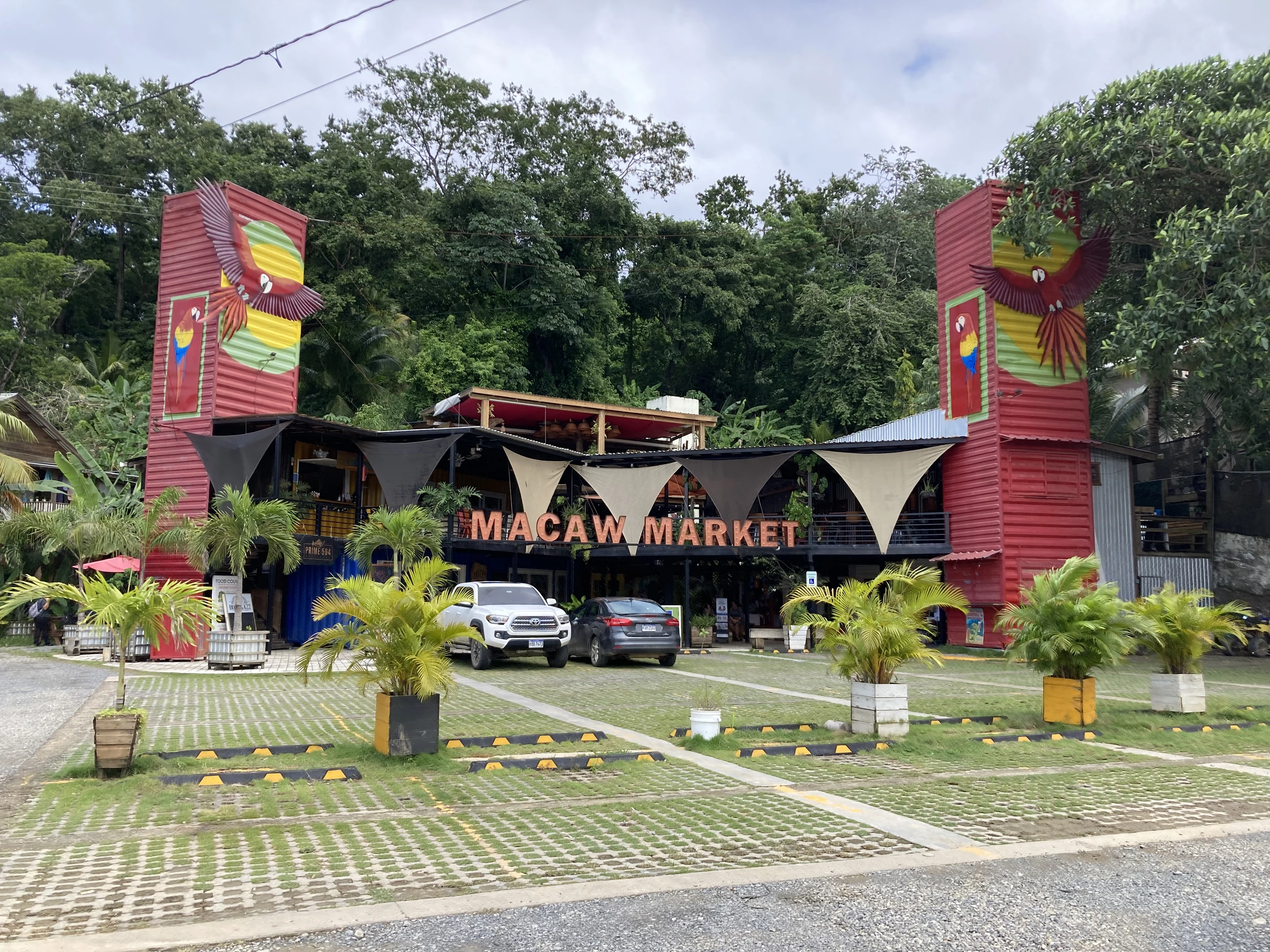 Macaw Container Market, Honduras