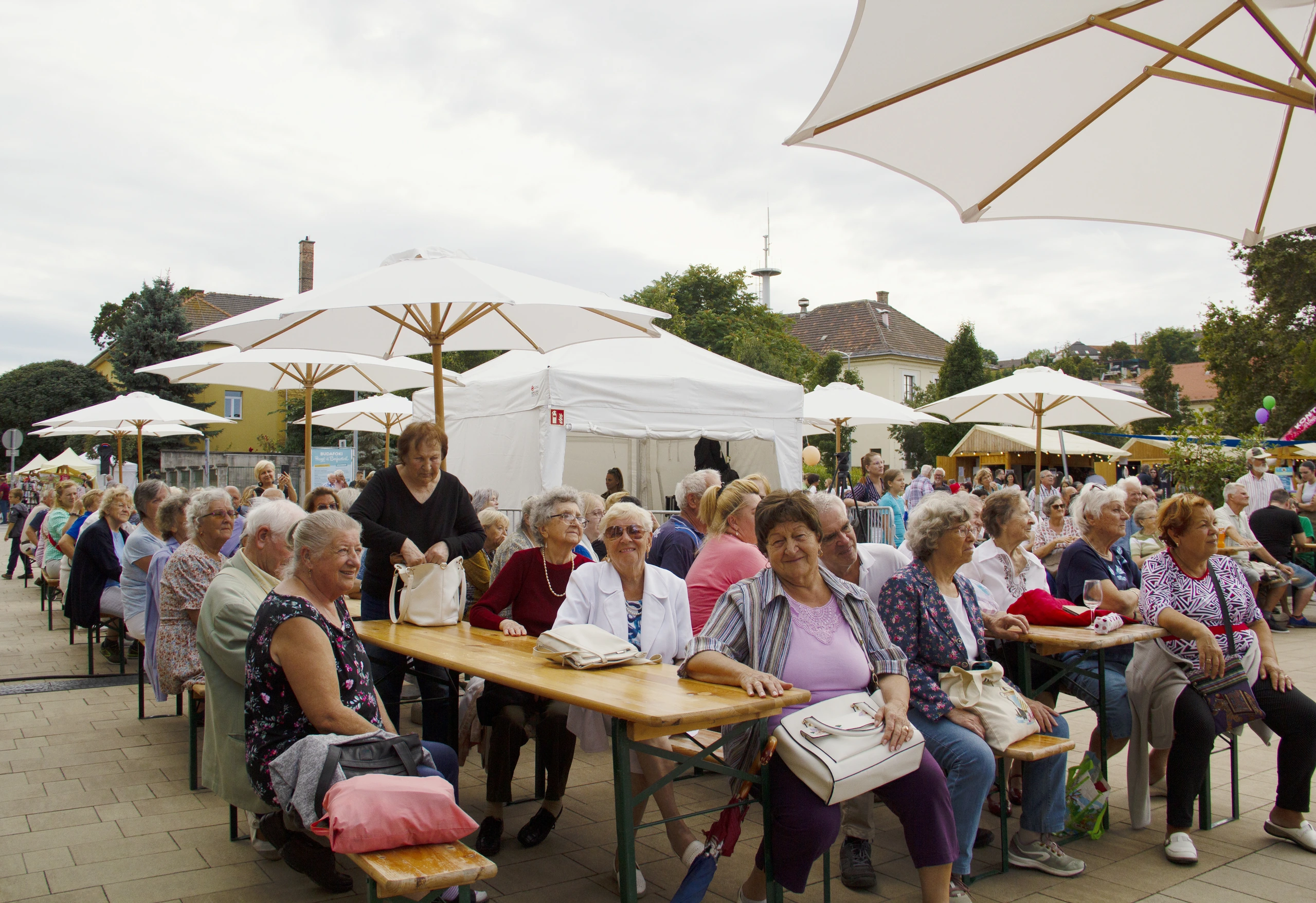 Vinfest i Budapest, Ungern