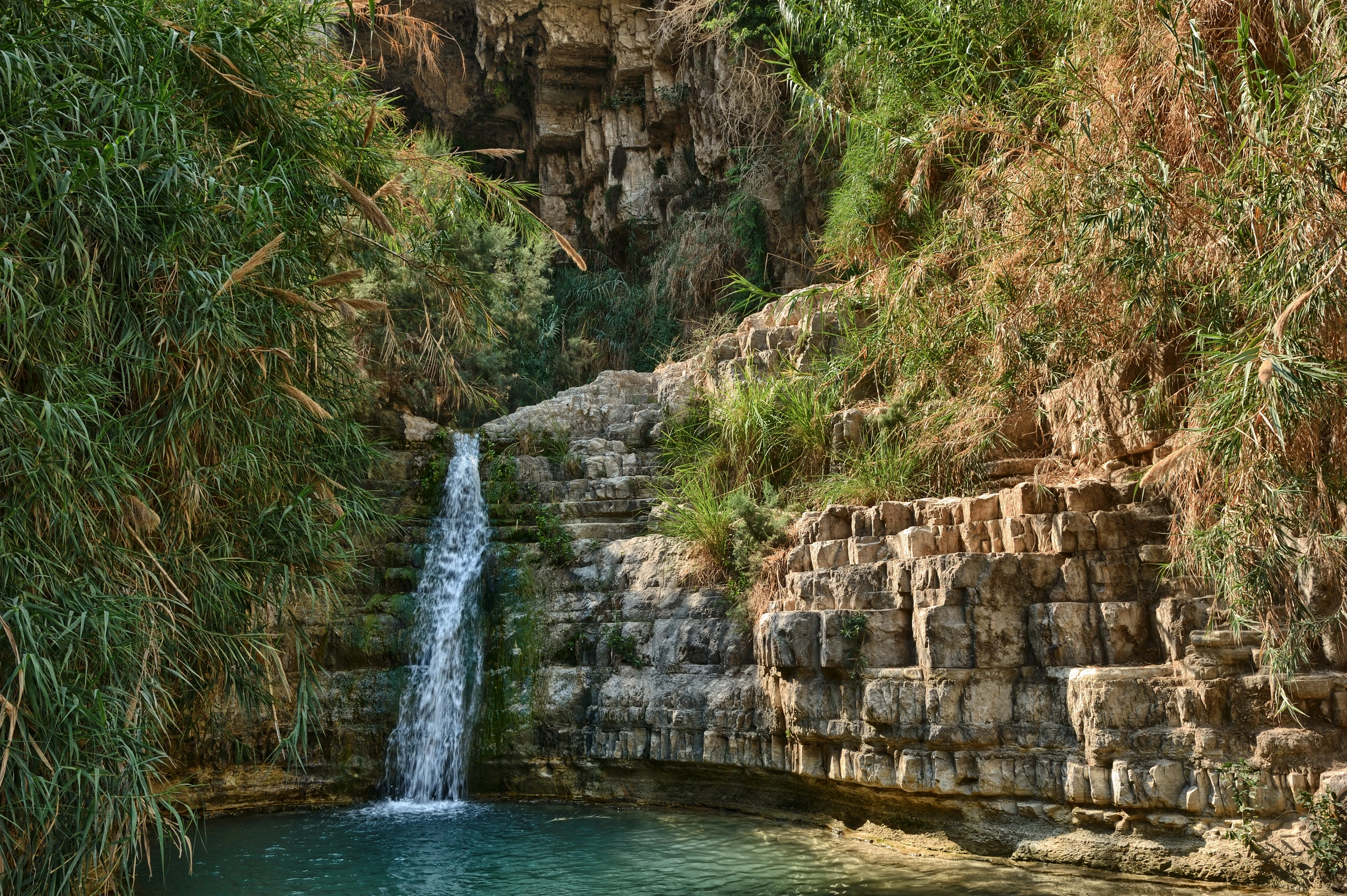 Gedi Nature Reserve, Israel
