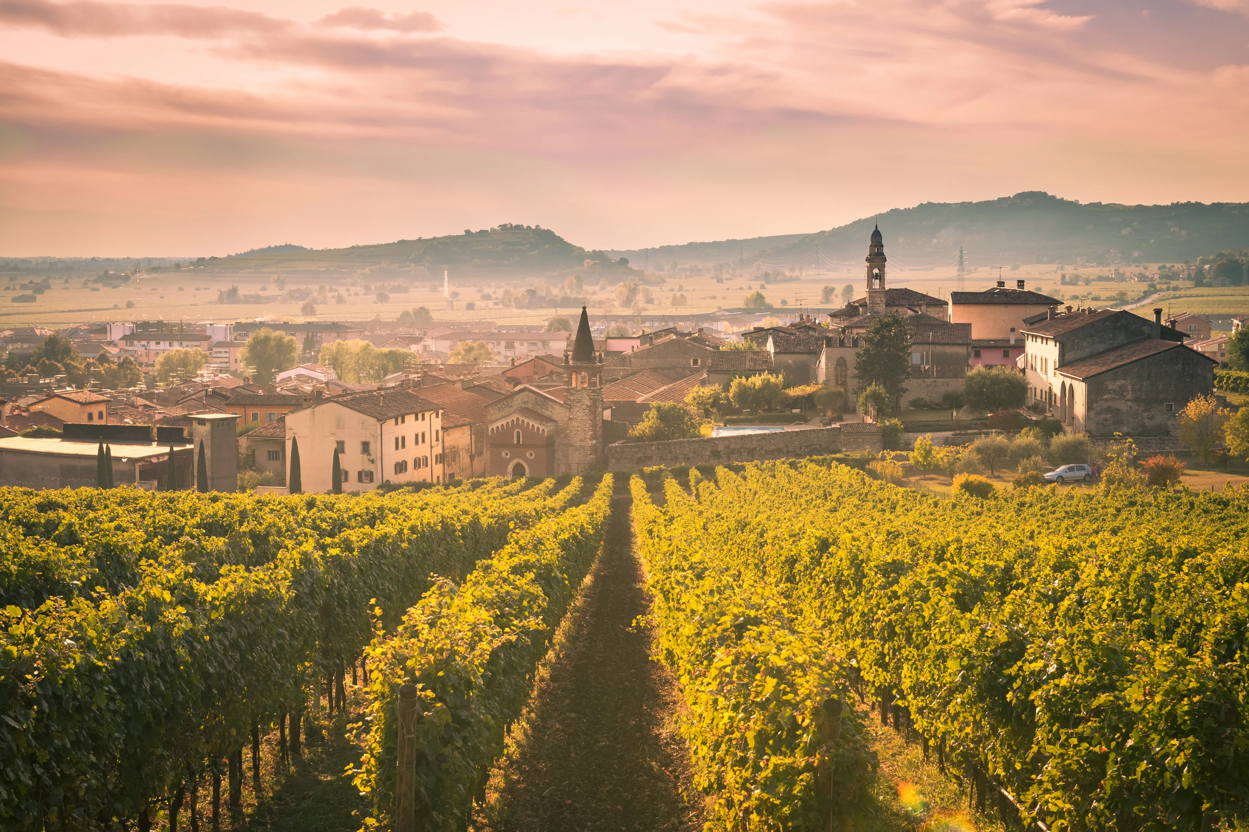 Vy över Soave omgiven av vinodlingar, Italien