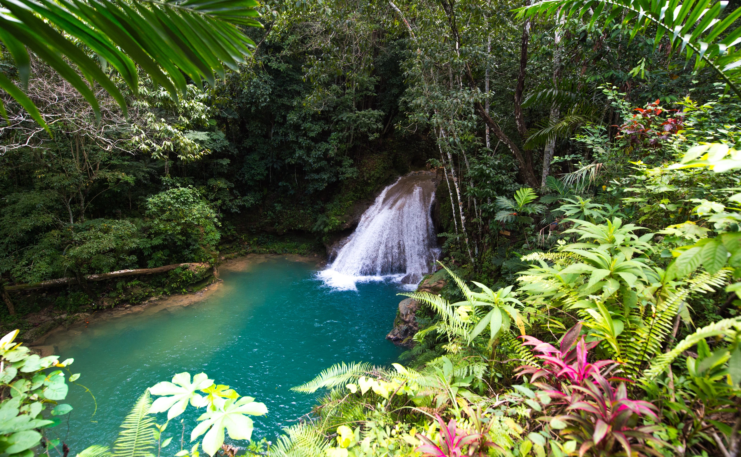 Vattenfall vid Blue Hole, Jamaica