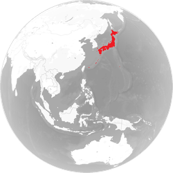 japan transparent 1