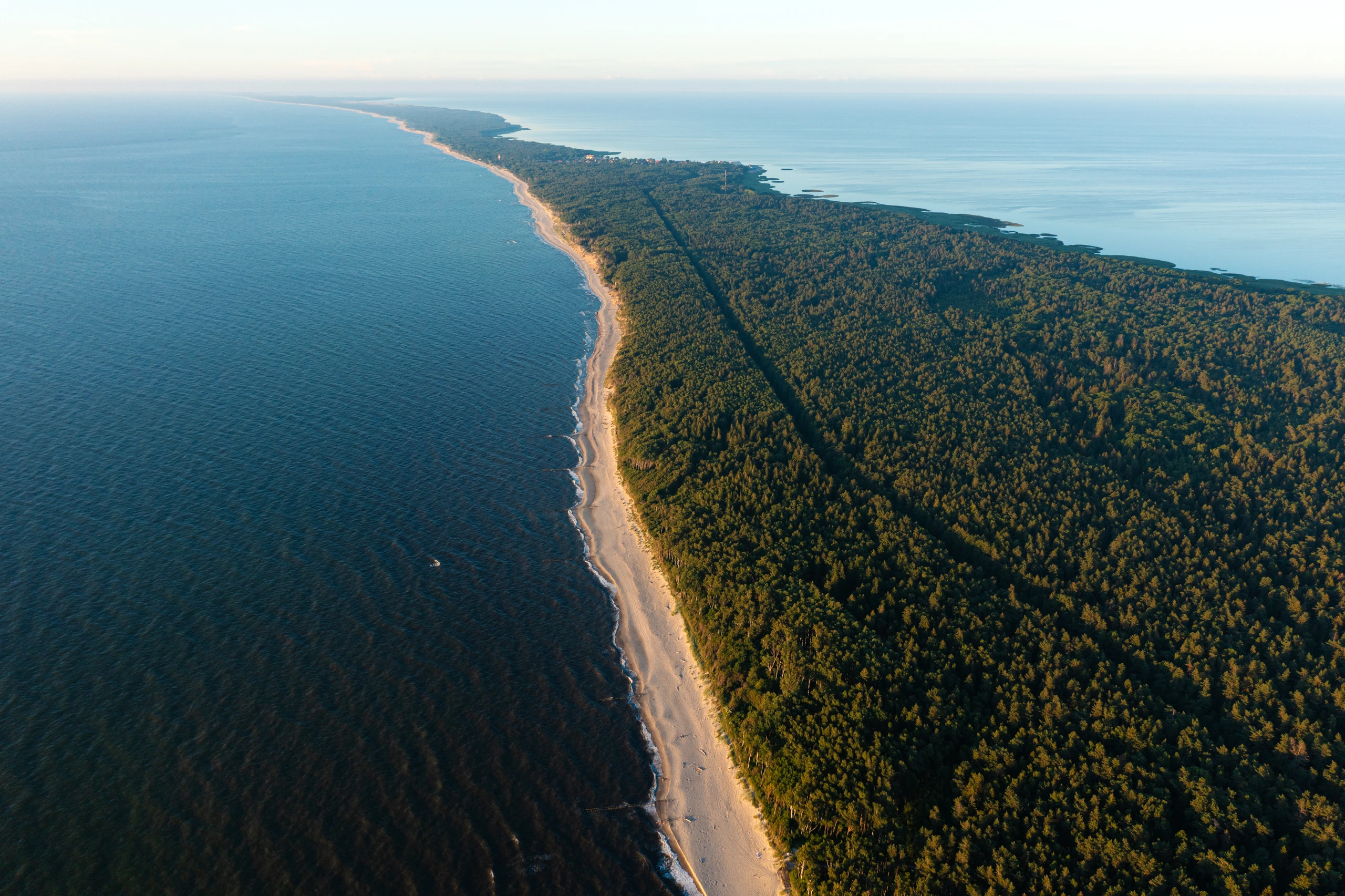 Kuriska näset vid Zelenogradsk, Kaliningrad
