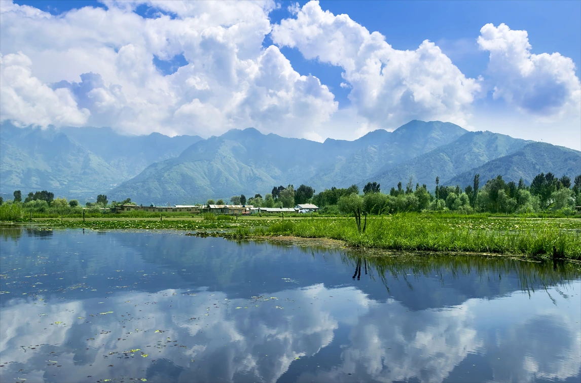 Reflektion i Dal Lake, Srinagar, Kashmir
