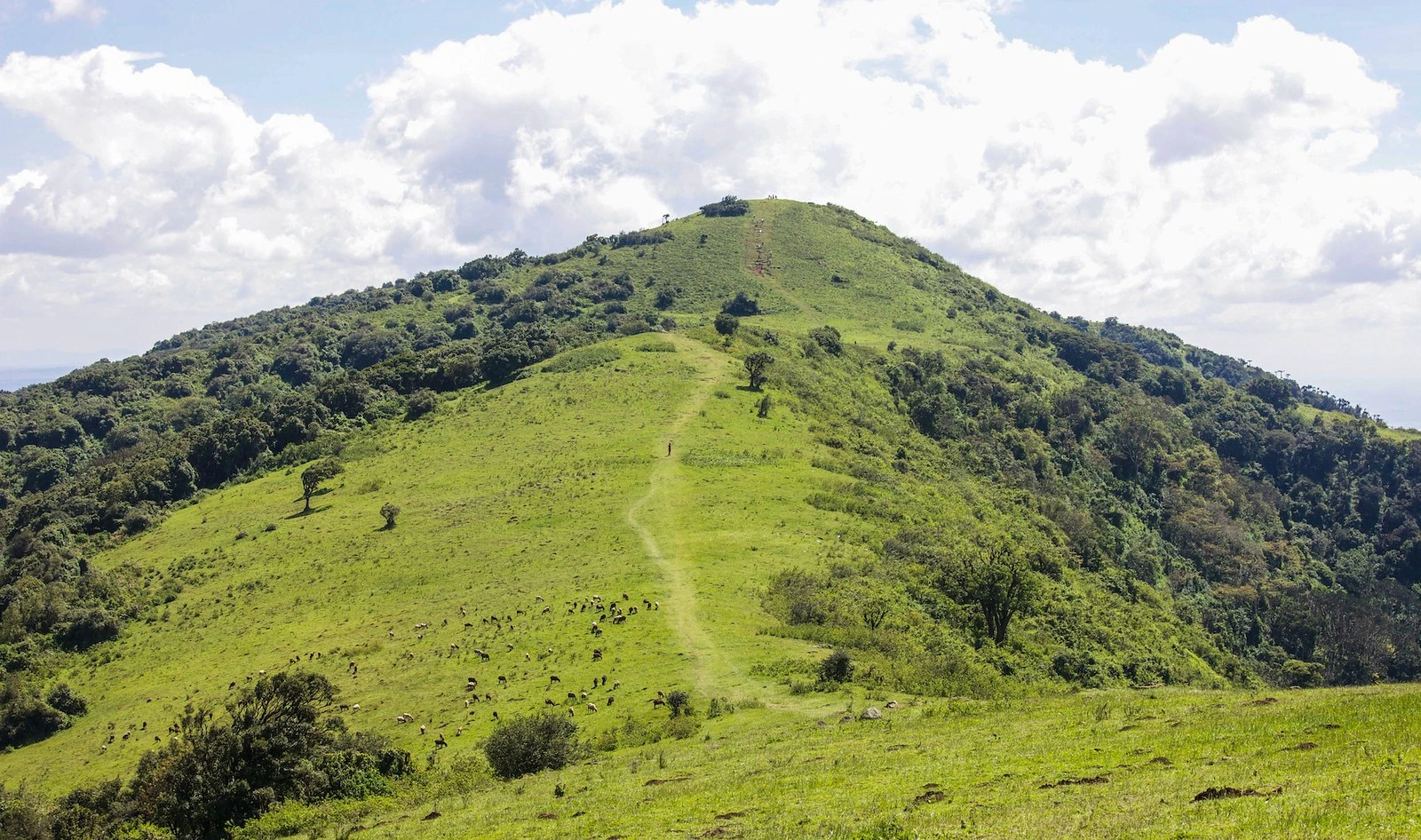 Ngong Hills i Nairobi, Kenya