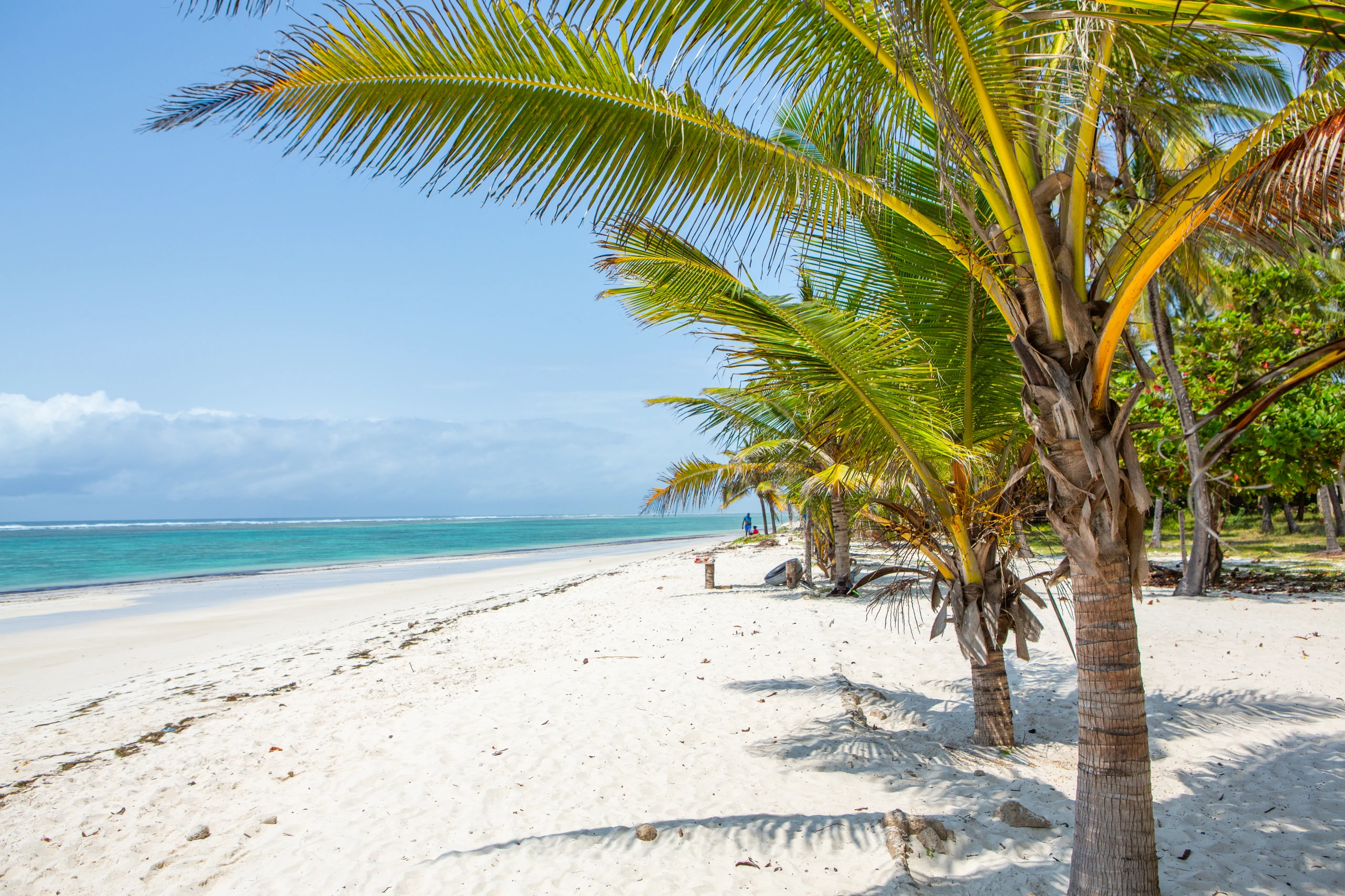 Diani Beach vid Indiska oceanen, Mombasa, Kenya