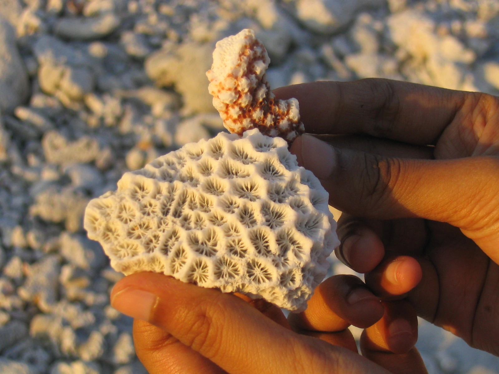 Kavaratti, Lakshadweep