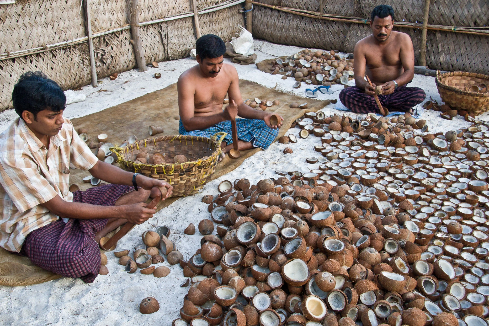 Kokosnötter på Lakshadweep