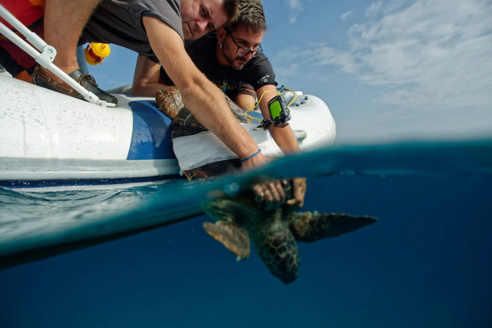 Tortue libre-festivalen på Lampedusa