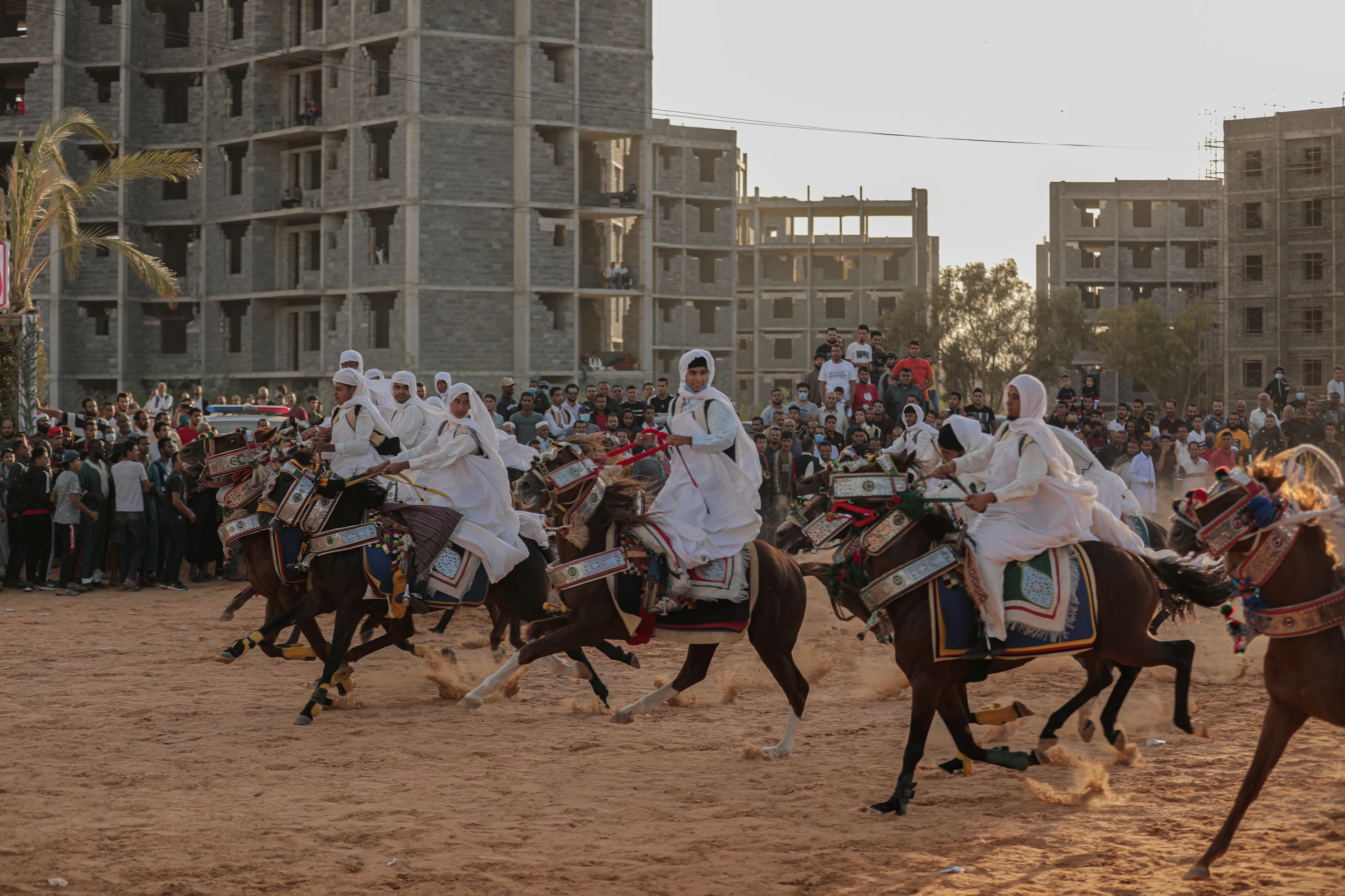 Traditionell hästutställning i Libyen