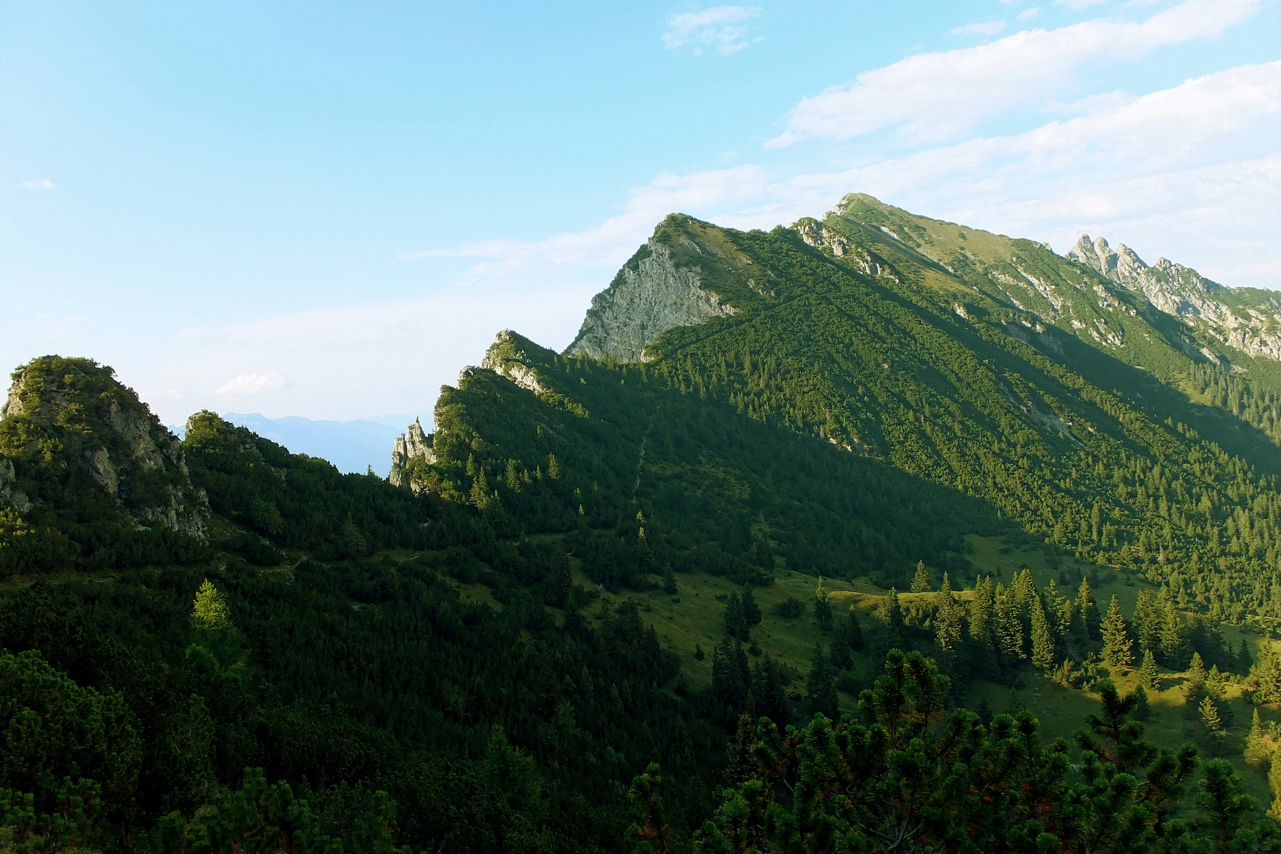 Berg och skog på Princes Way, Liechtenstein