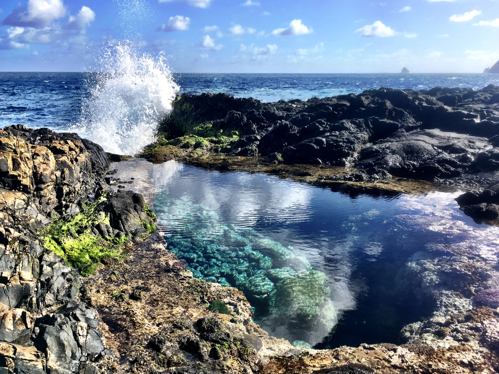 Herring Pools, Lord Howeön