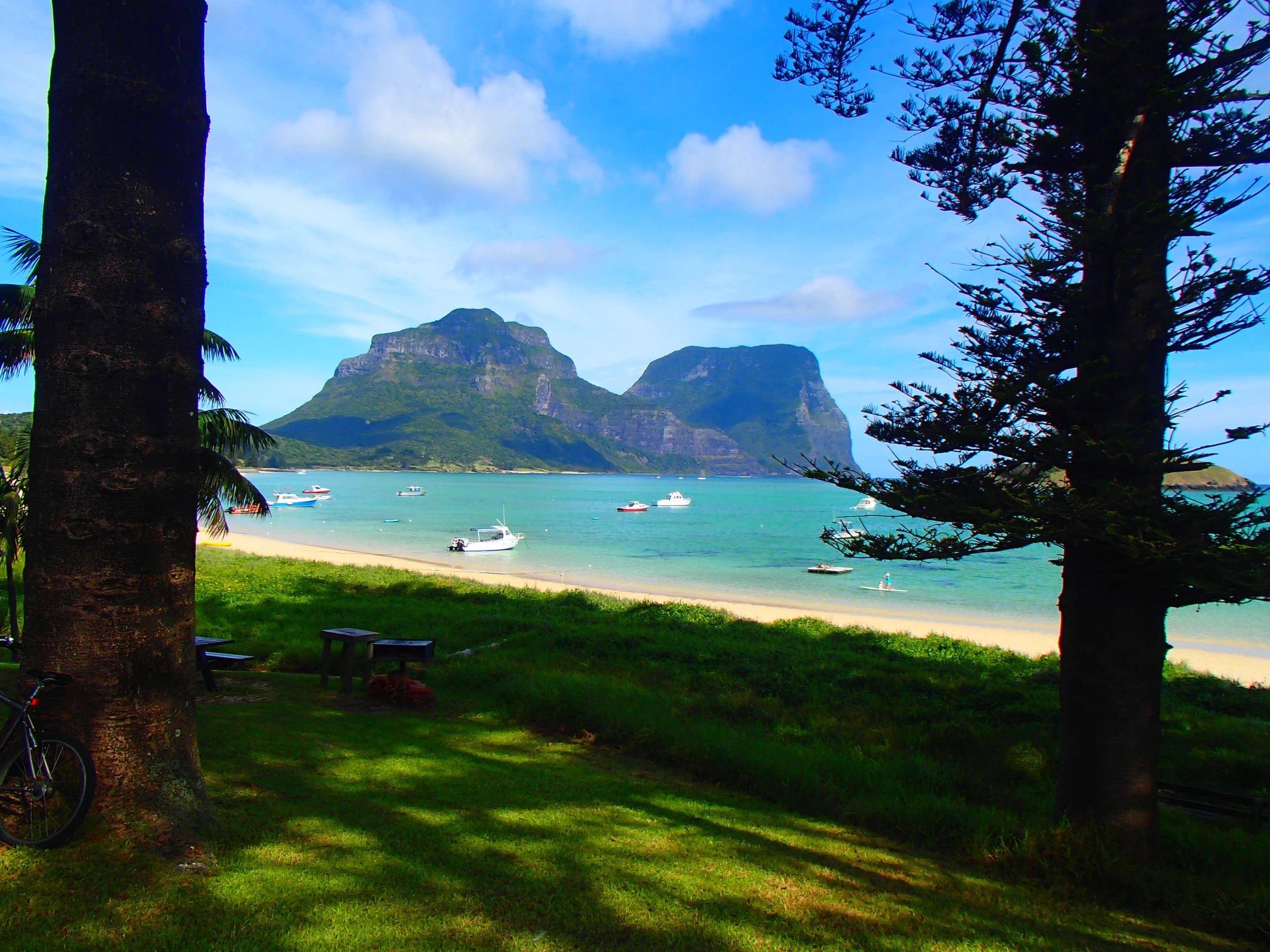 Mount Lidgebird och Mount Gower, Lord Howeön