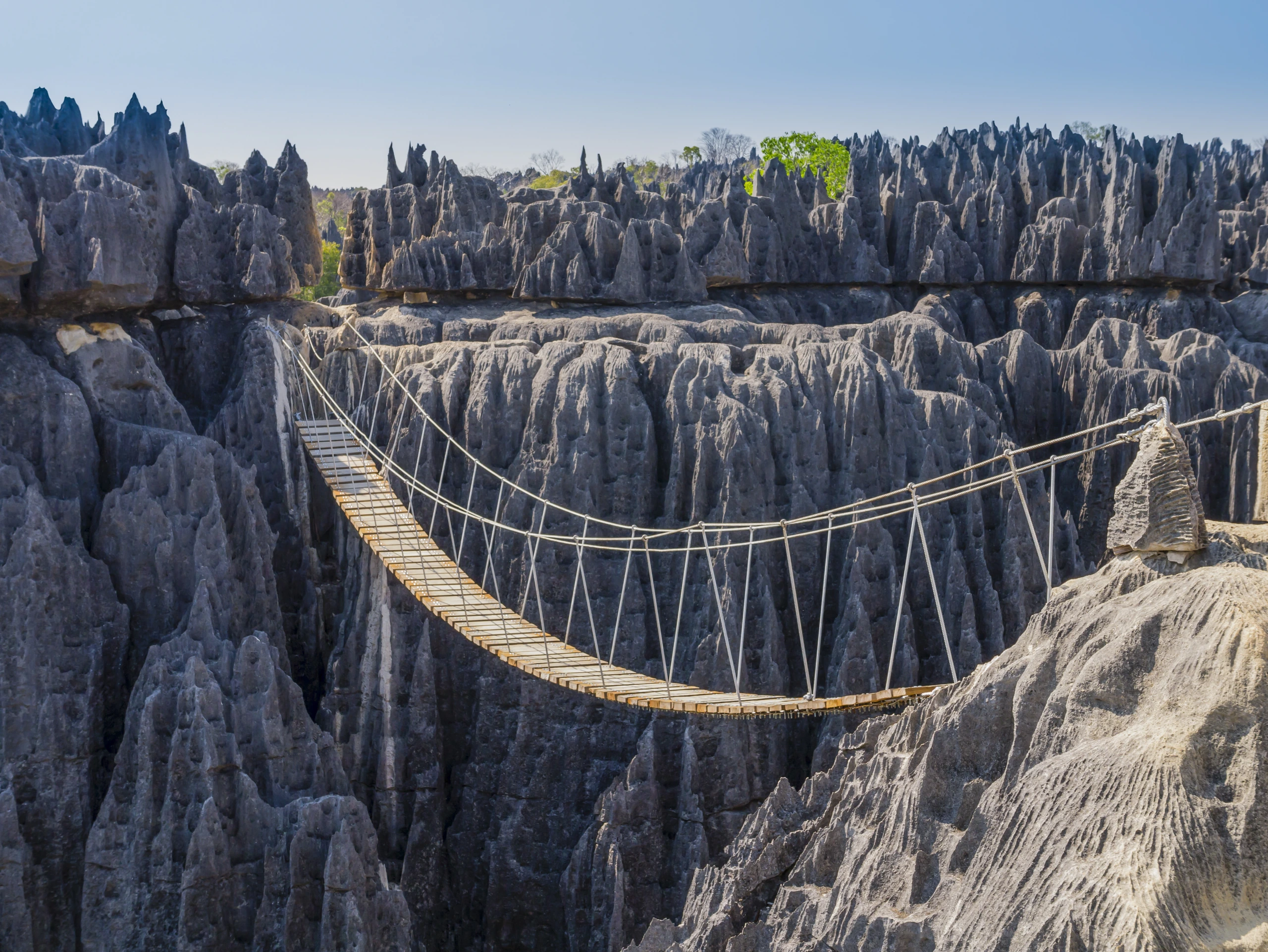 Hängbro vid Tsingy de Bemaraha, Madagaskar