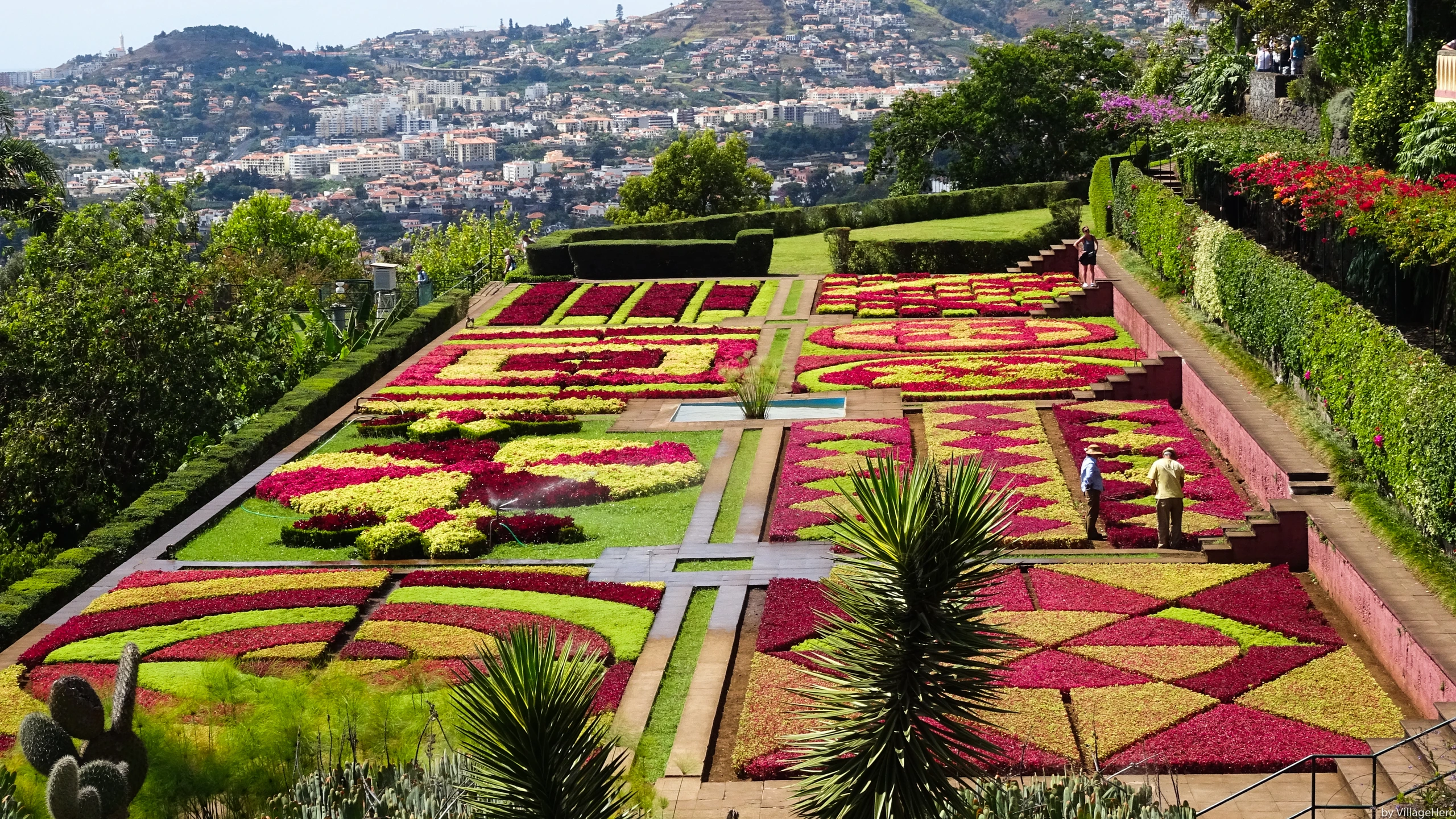 Jardim Botânico i Funchal, Madeira