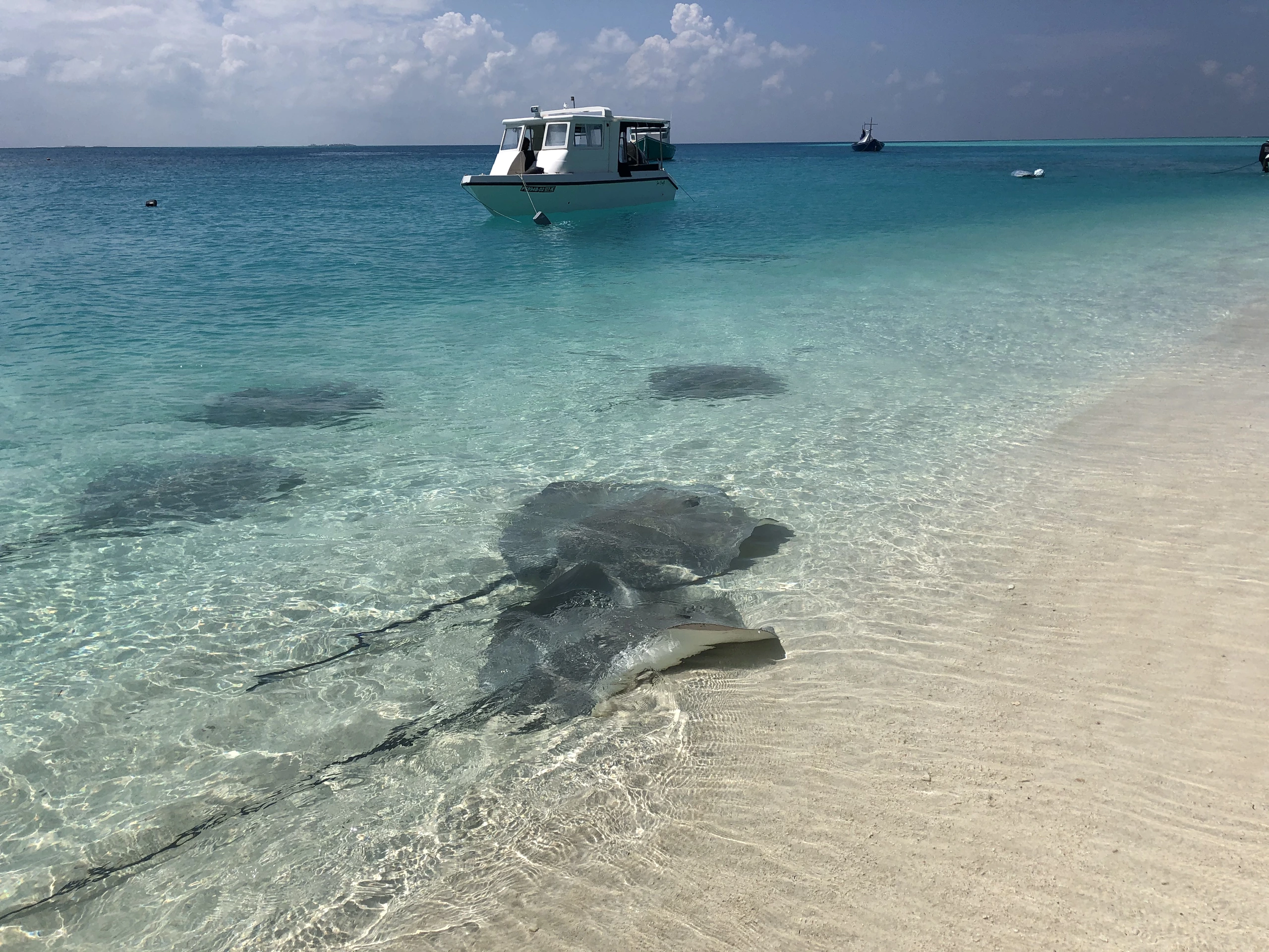 Fulidhoo, Maldiverna