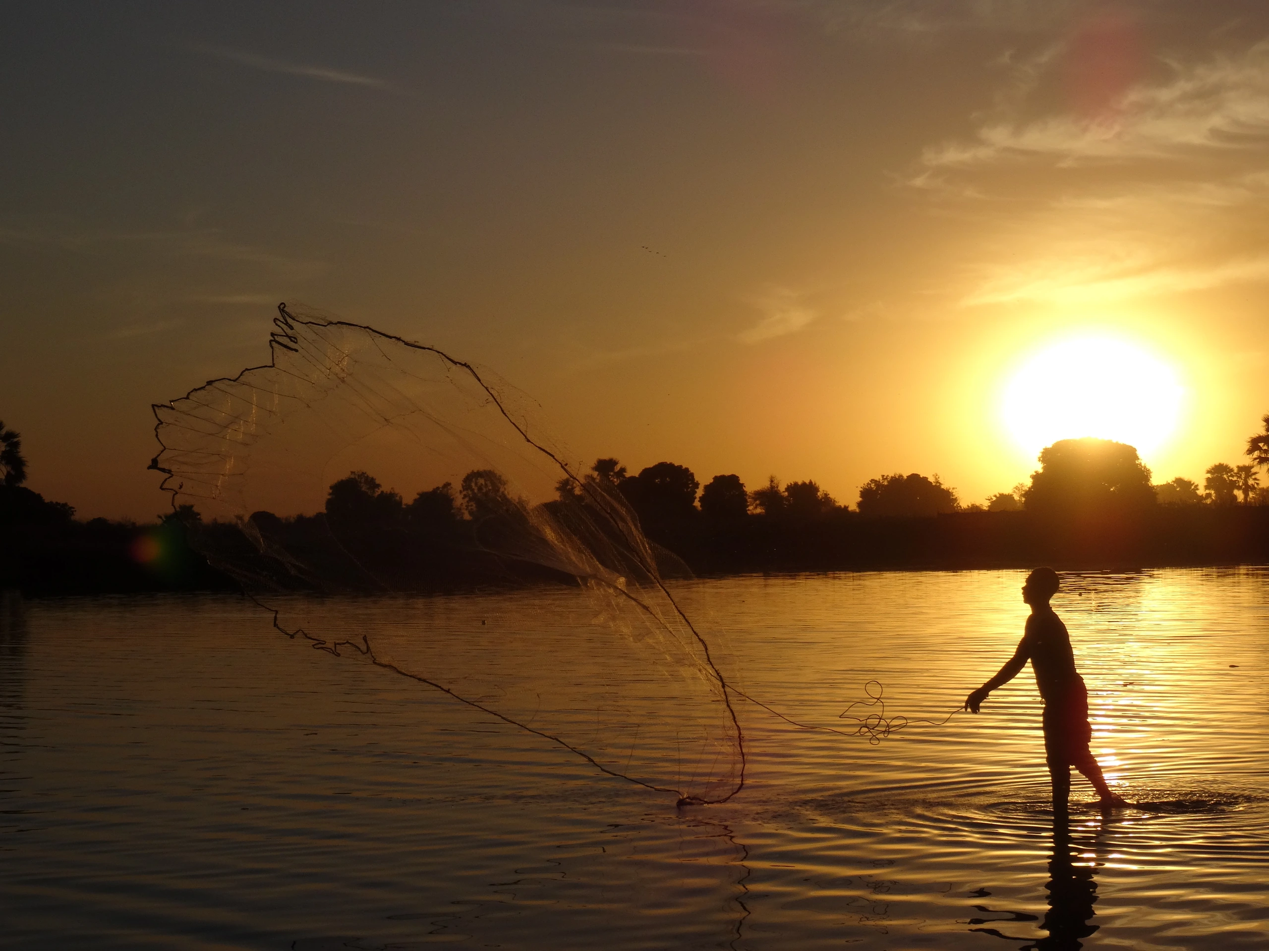 Fiskare, Mali