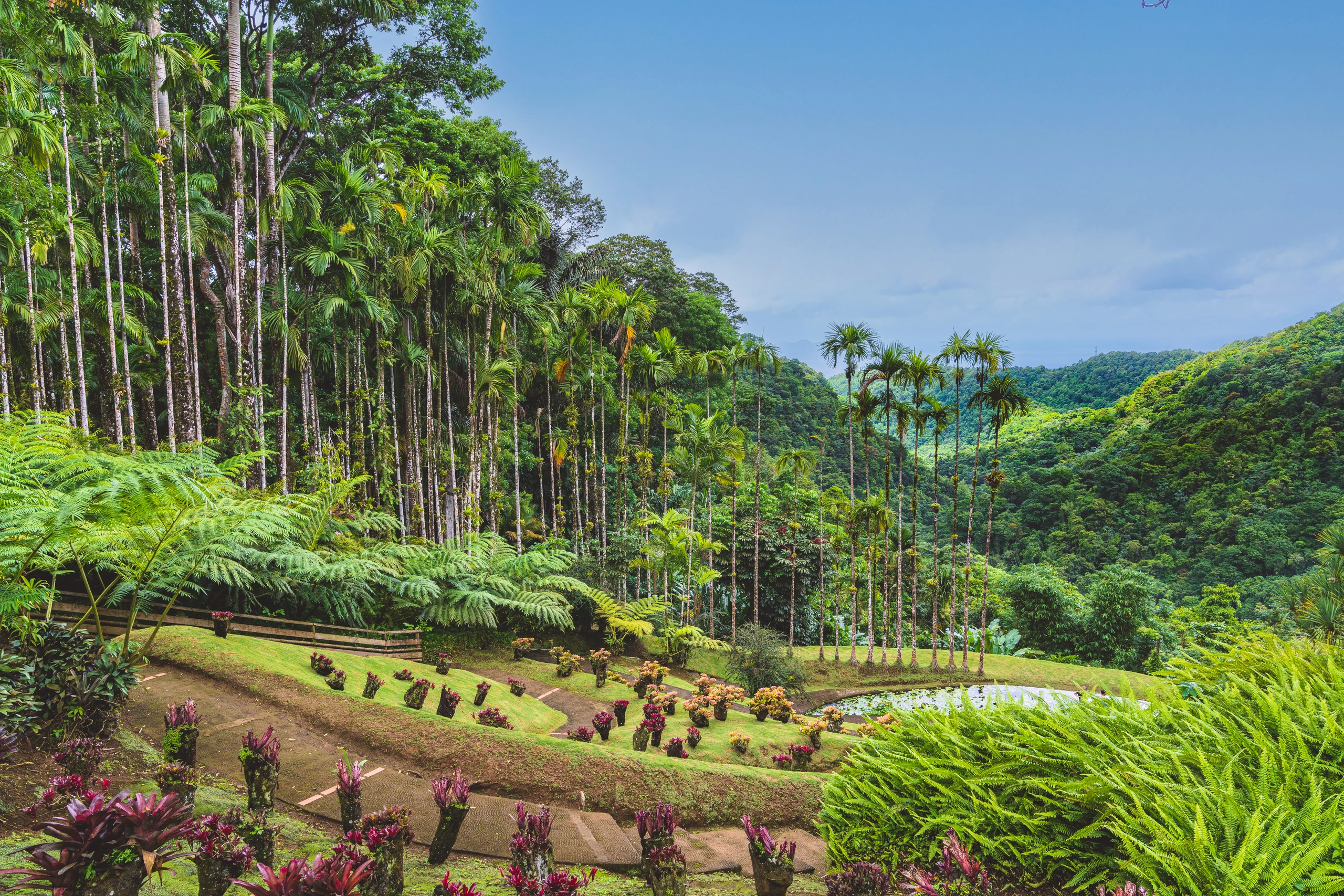 Jardin de Balata, Martinique