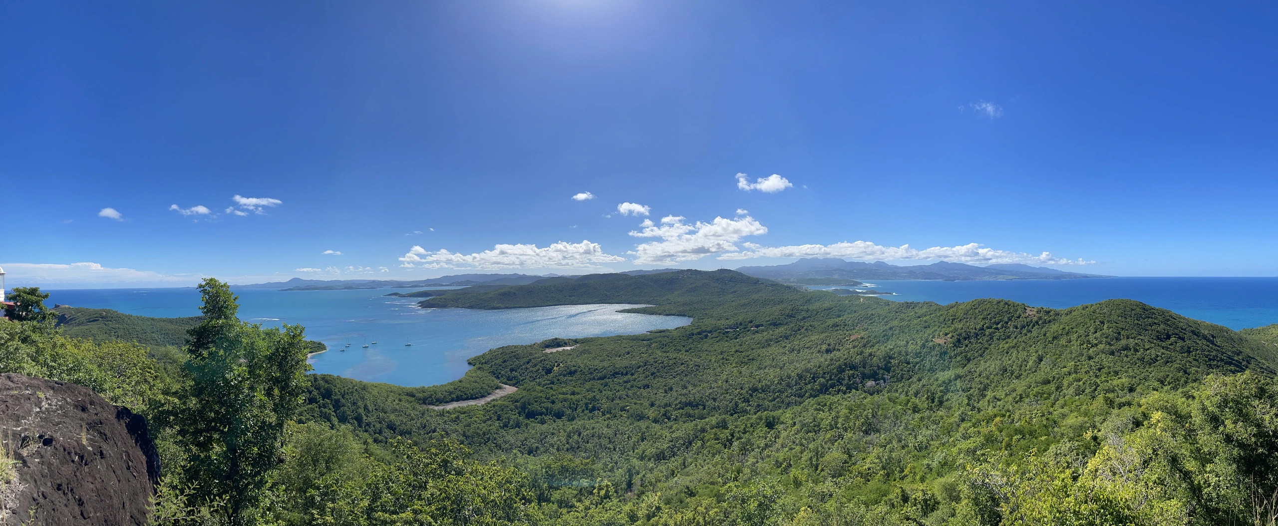 Caravelle naturreservat på Martinique