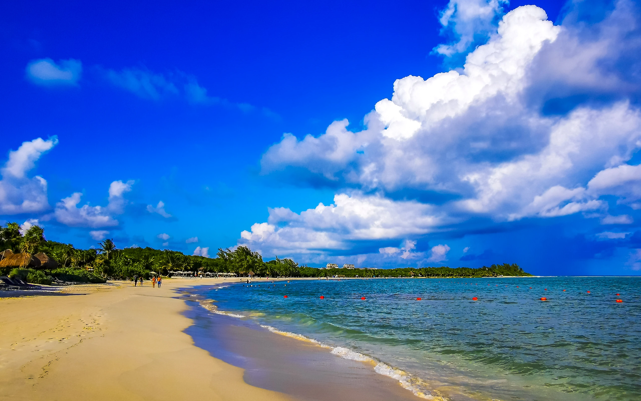 Karibisk strand med parasoller i Playa del Carmen, Mexiko
