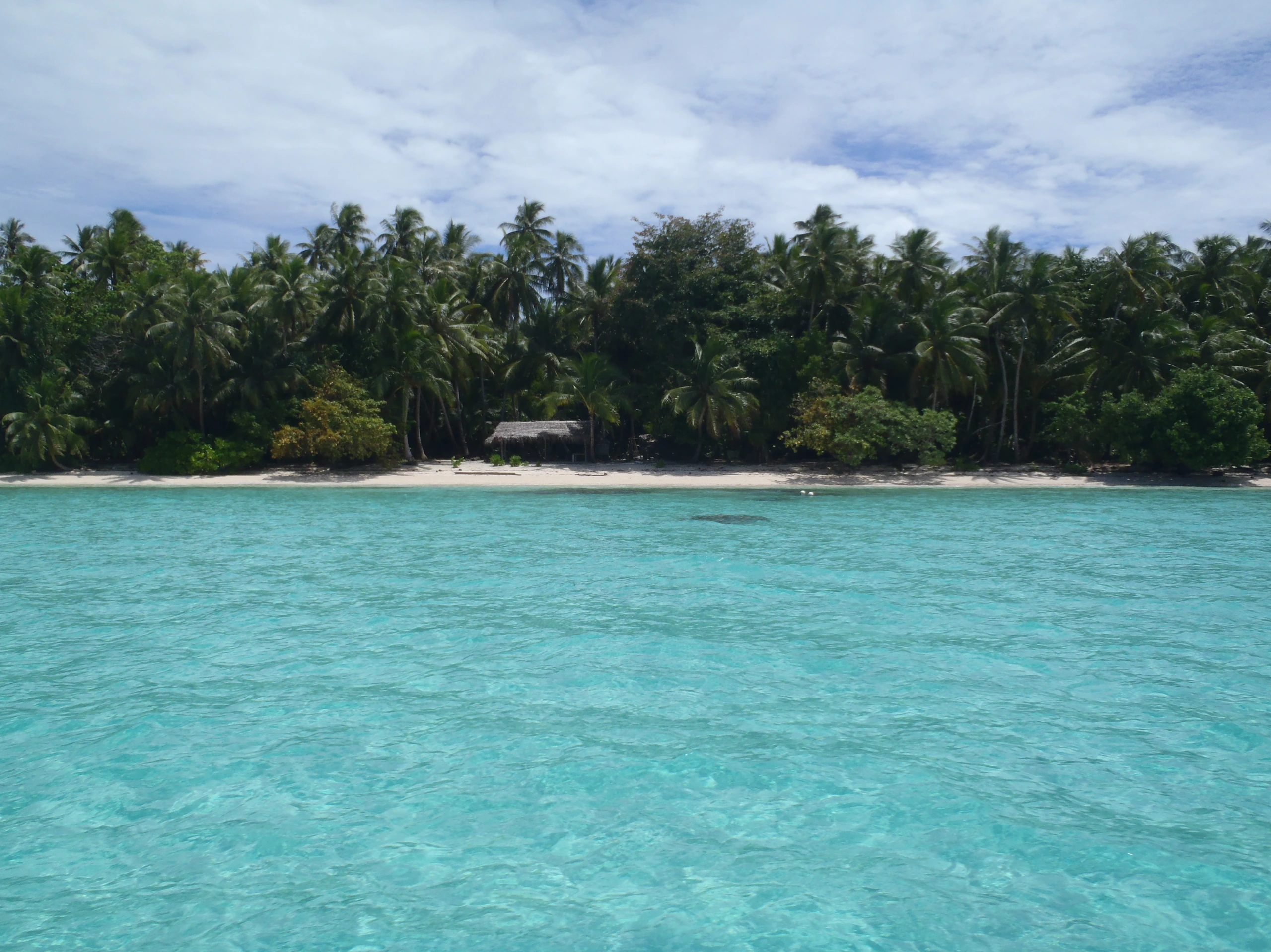 Lagunen vid Ant Atoll, Pohnpei, Mikronesiens federerade stater