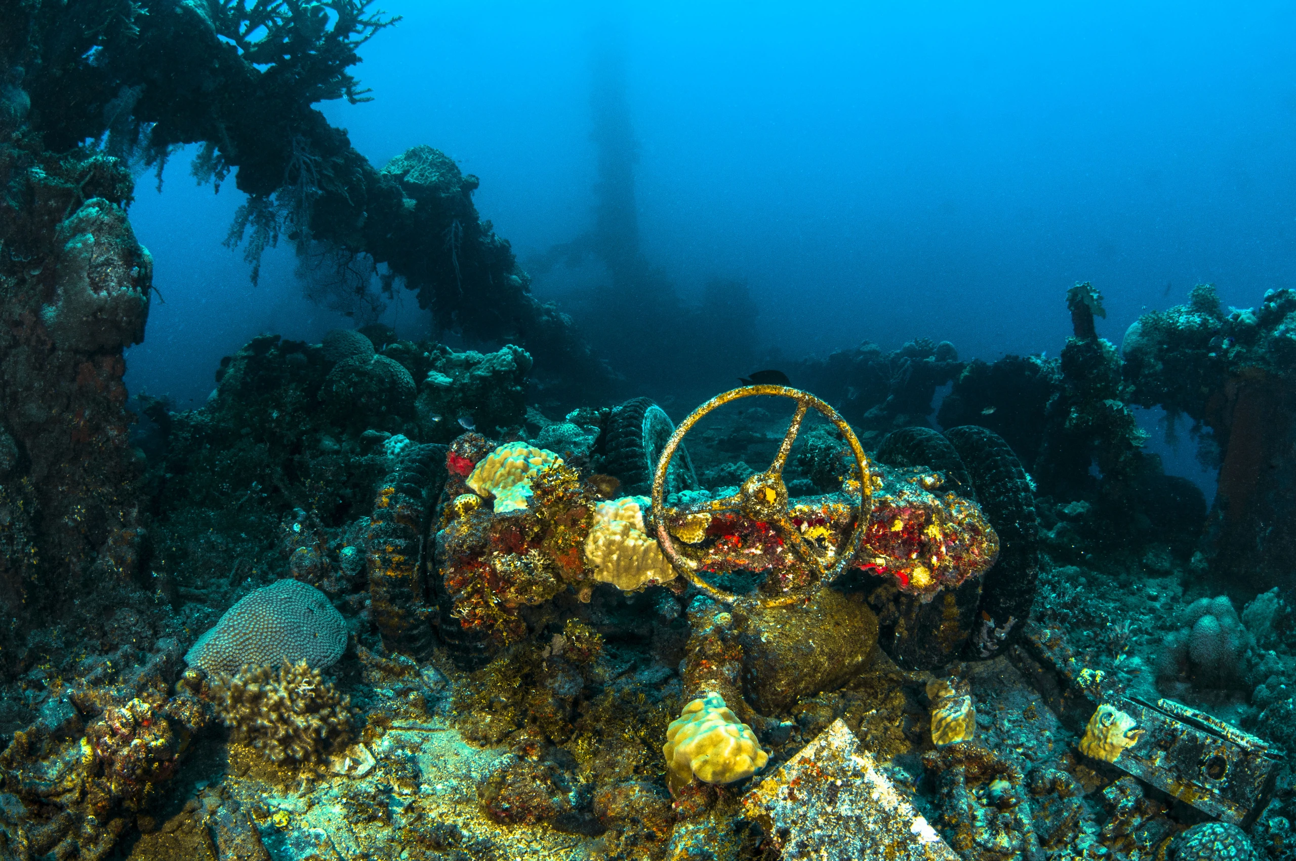 Truk Lagoon, Mikronesiens federerade stater
