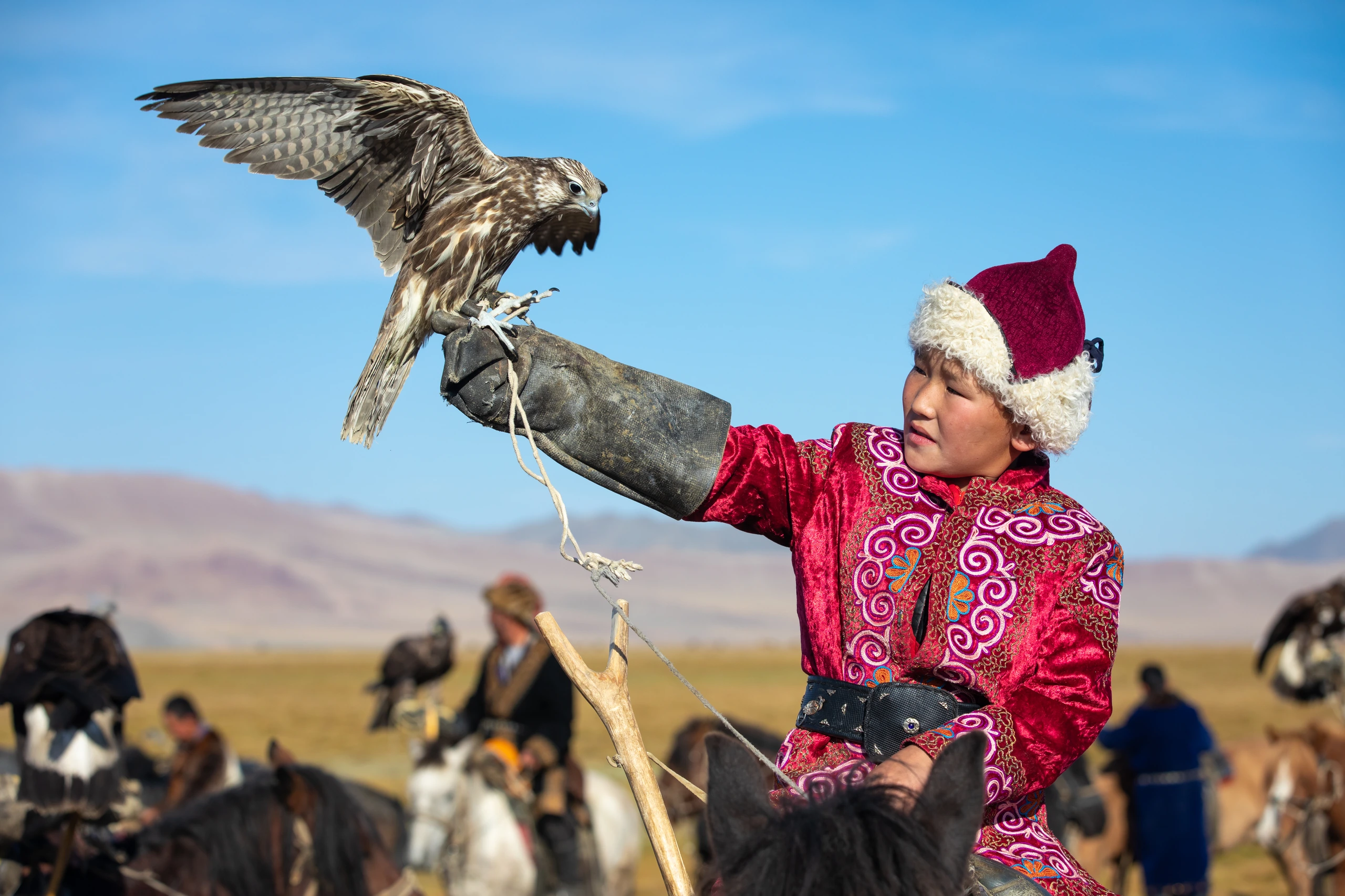 Ung mongolisk pojke med falk, Mongoliet