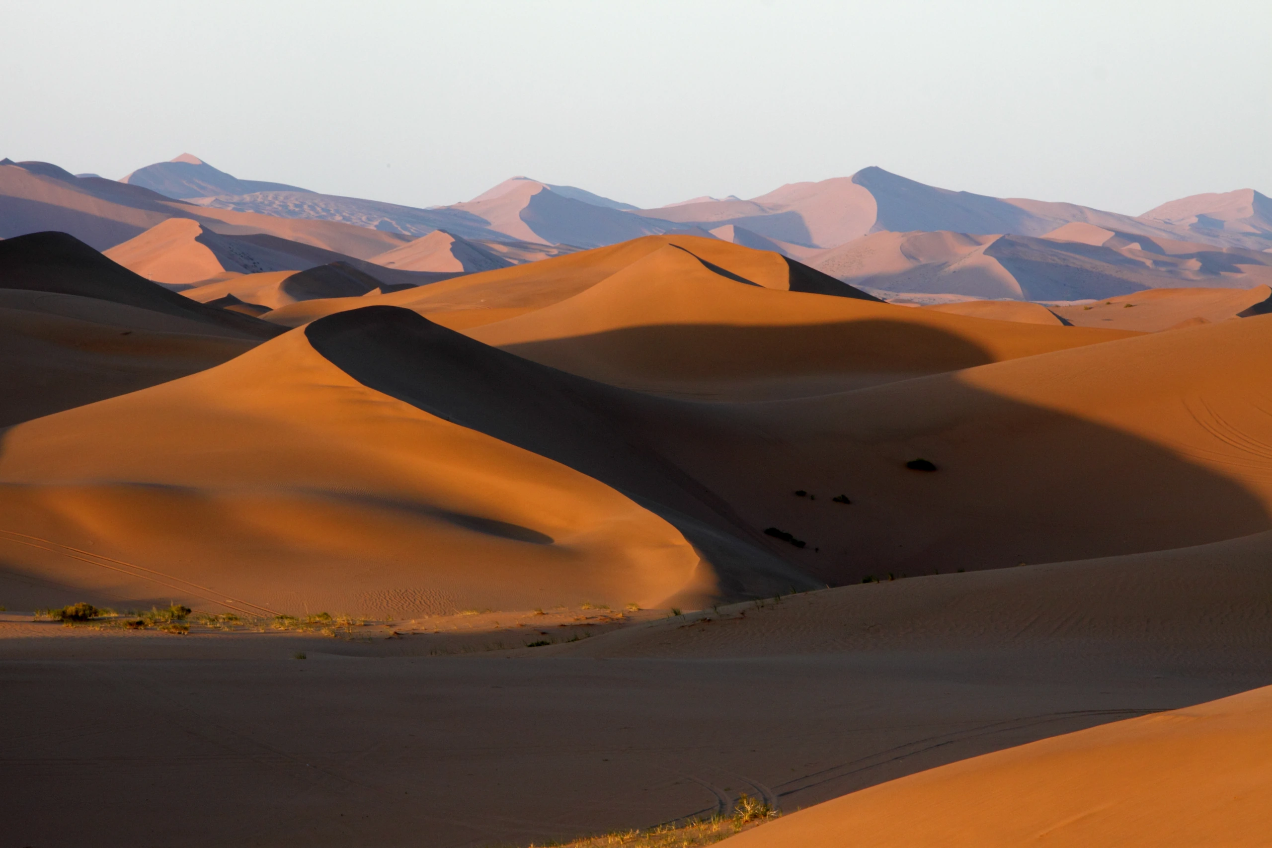 Gobiöknen i Mongoliet
