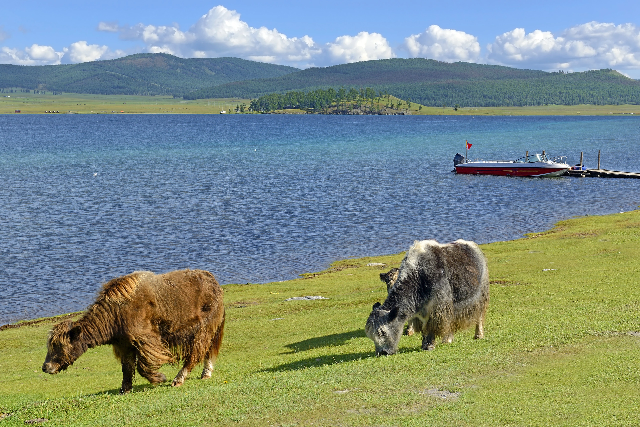 Sjö Chövsgöl núr i Mongoliet