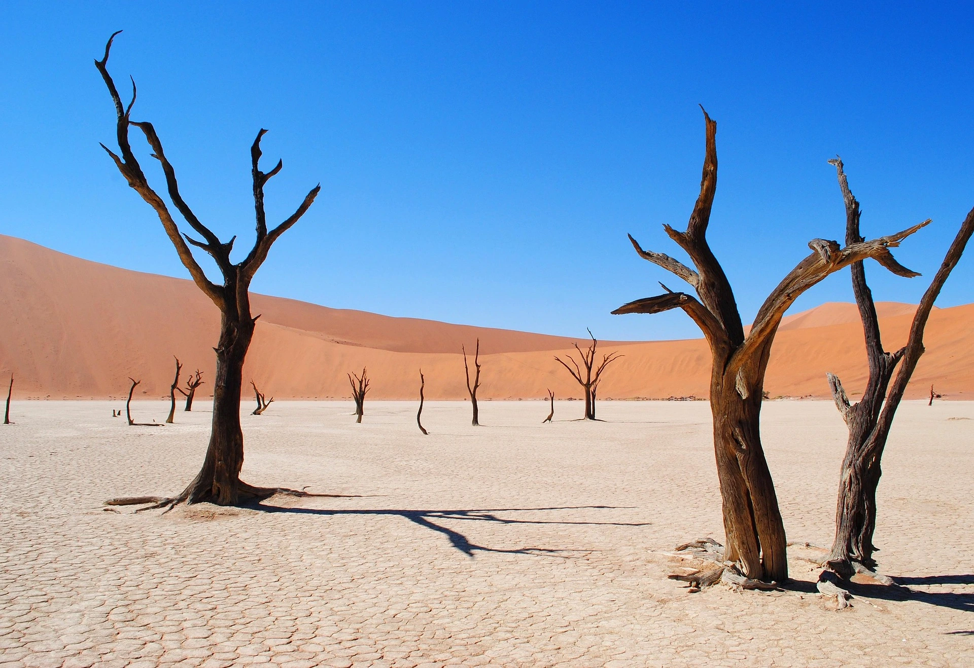 Deadvlei i Namibia