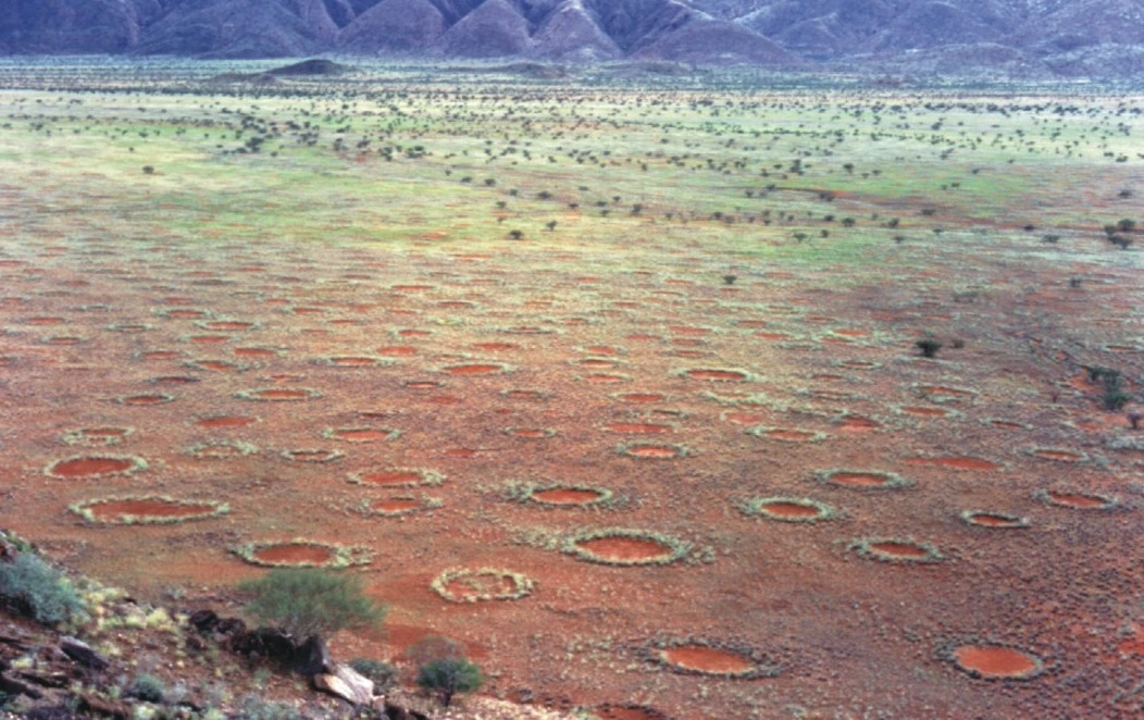 Fairy circles i Namibia