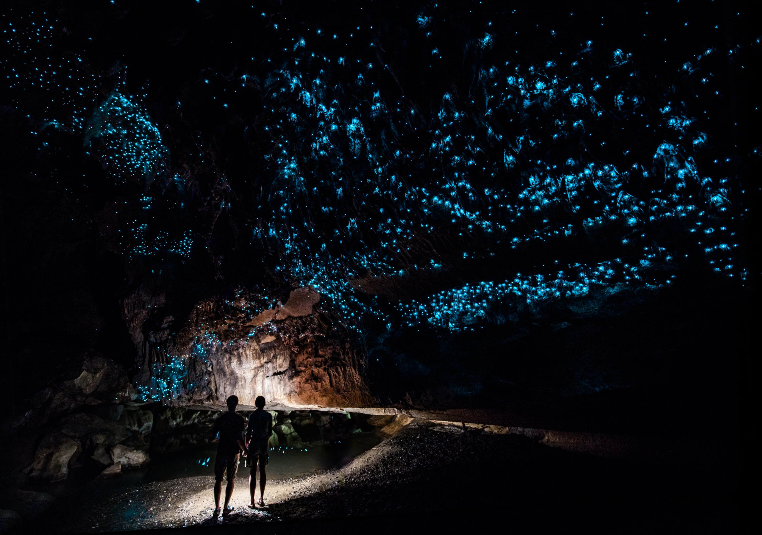 Glow Worm-himmel i Waipu-grottan, Nya Zeeland