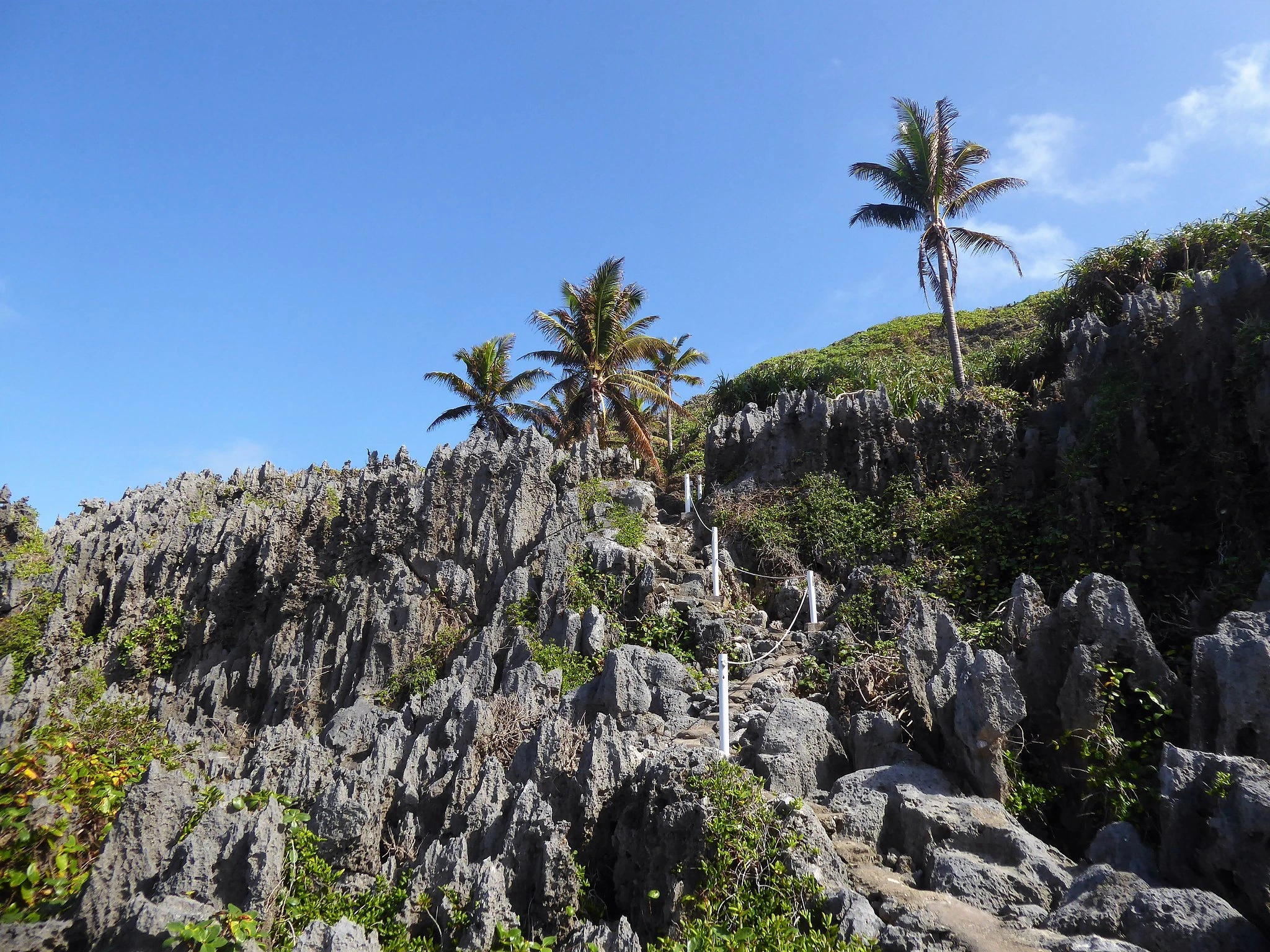 Togo Chasm på Niue