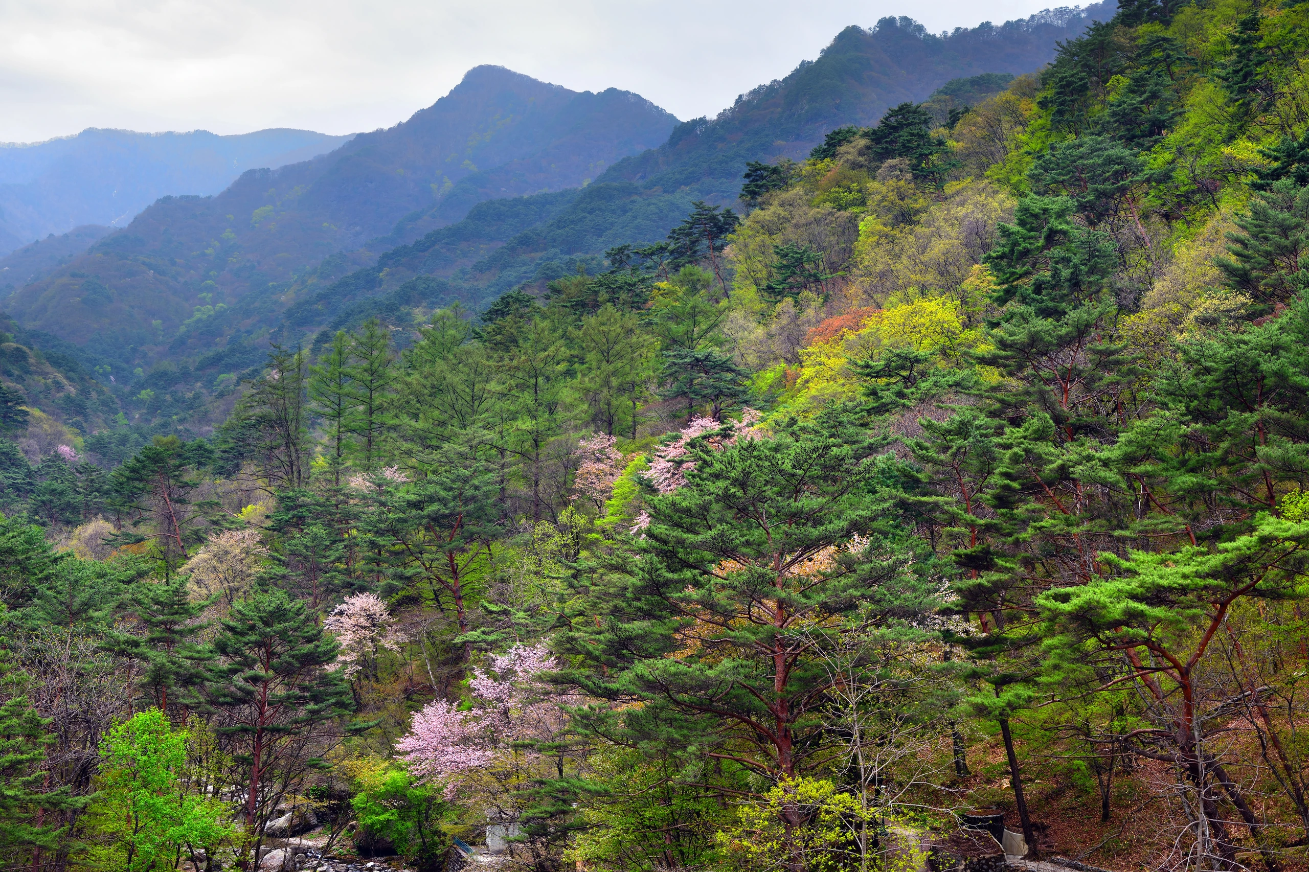 Myohyangsan landskap i Nordkorea