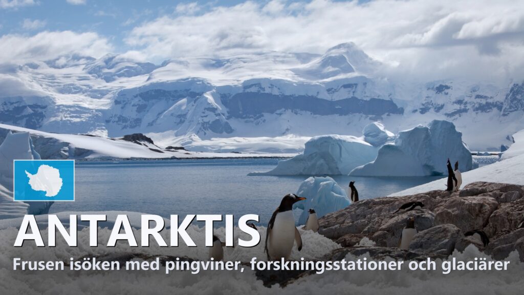 Antarktis – Reseguide