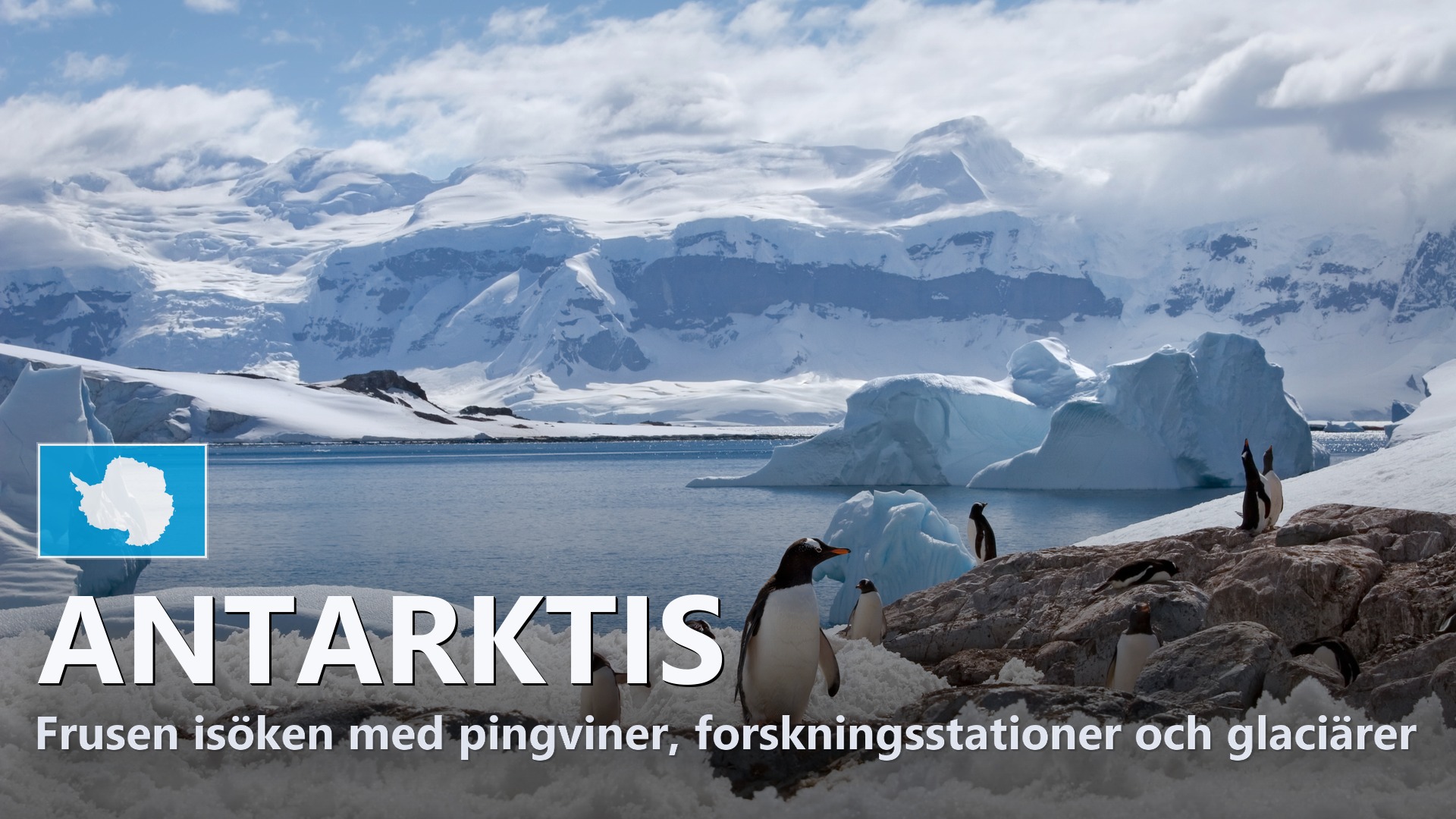 Antarktis – Reseguide