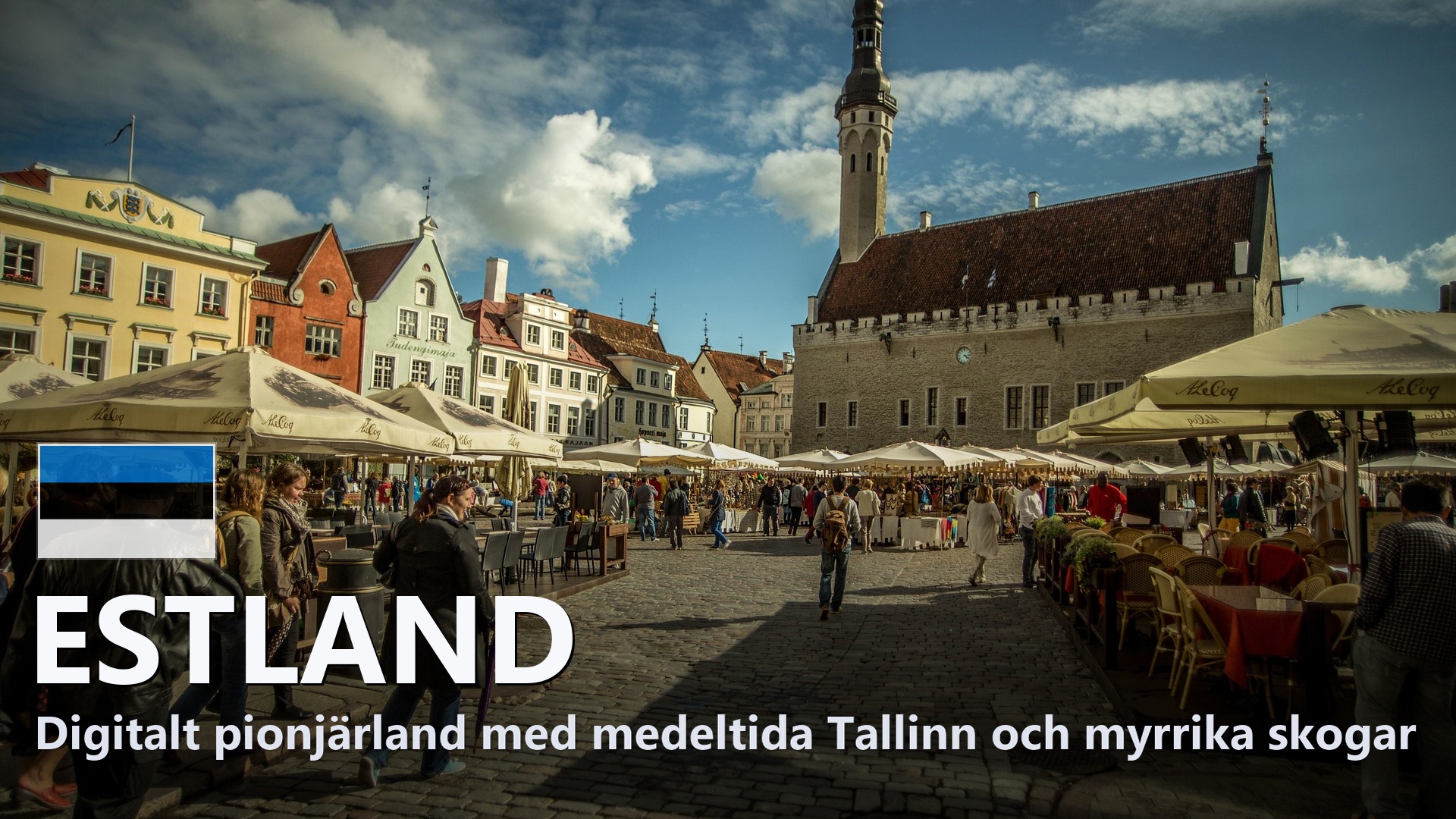 Estland – Reseguide