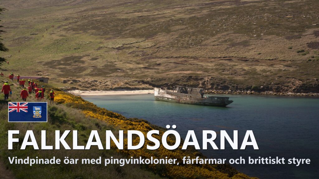 Falklandsöarna – Reseguide