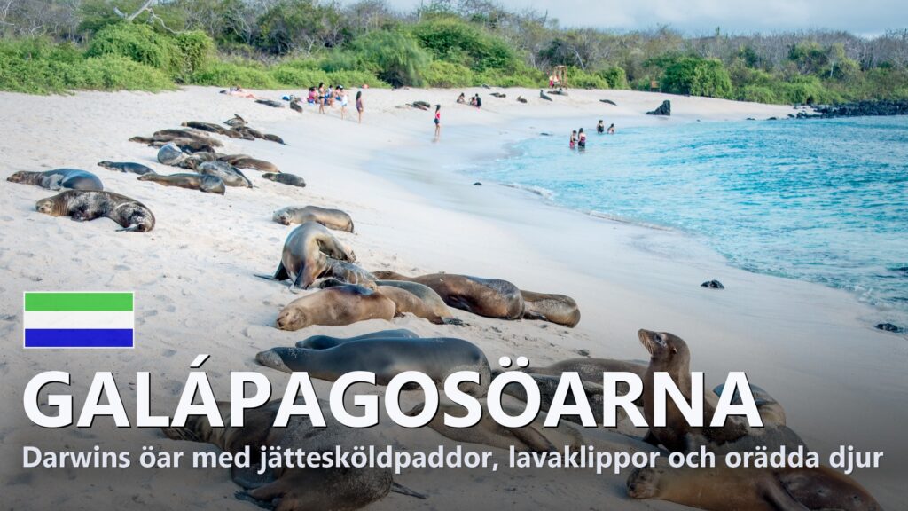 Galápagosöarna – Reseguide