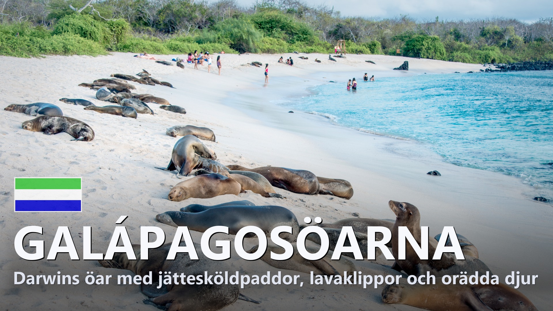 Galápagosöarna – Reseguide