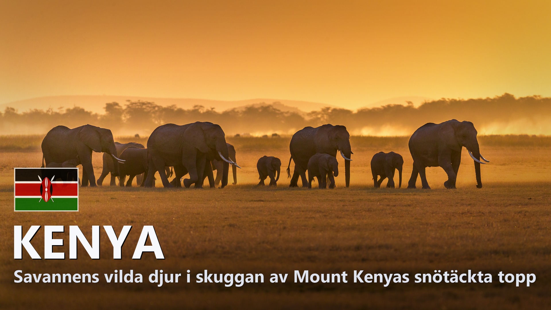 Kenya – Reseguide