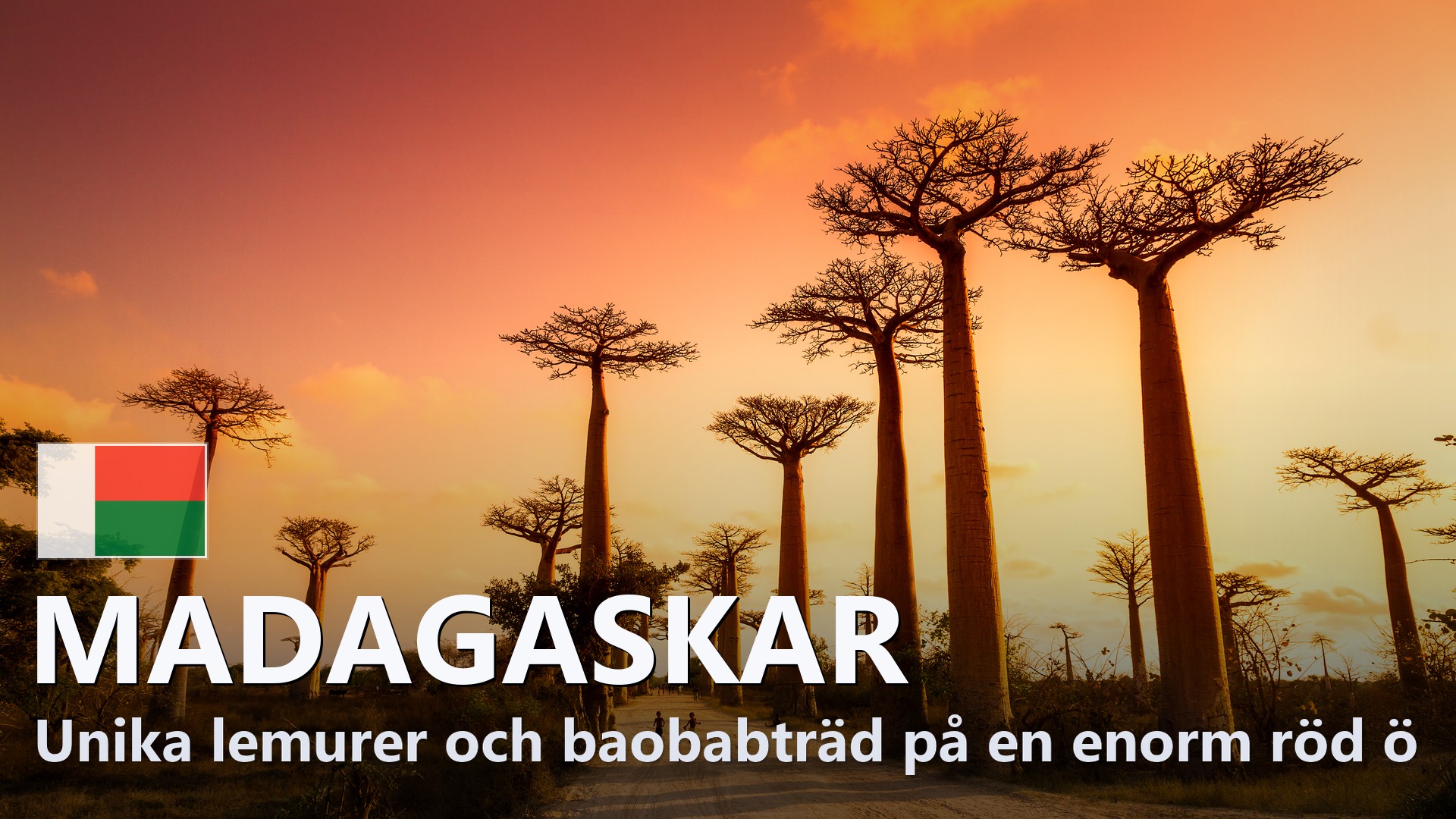 Madagaskar – Reseguide