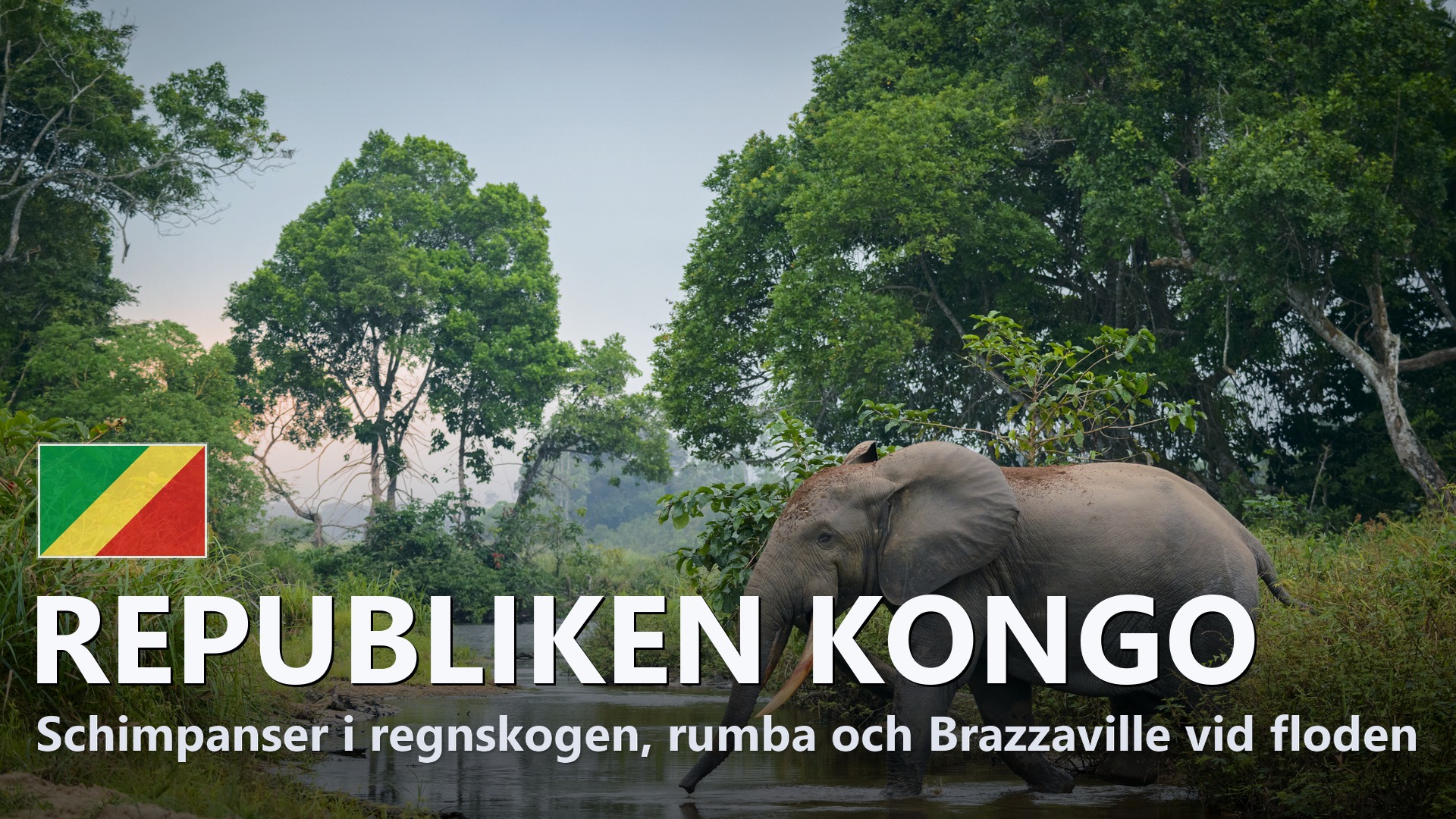 Republiken Kongo – Reseguide