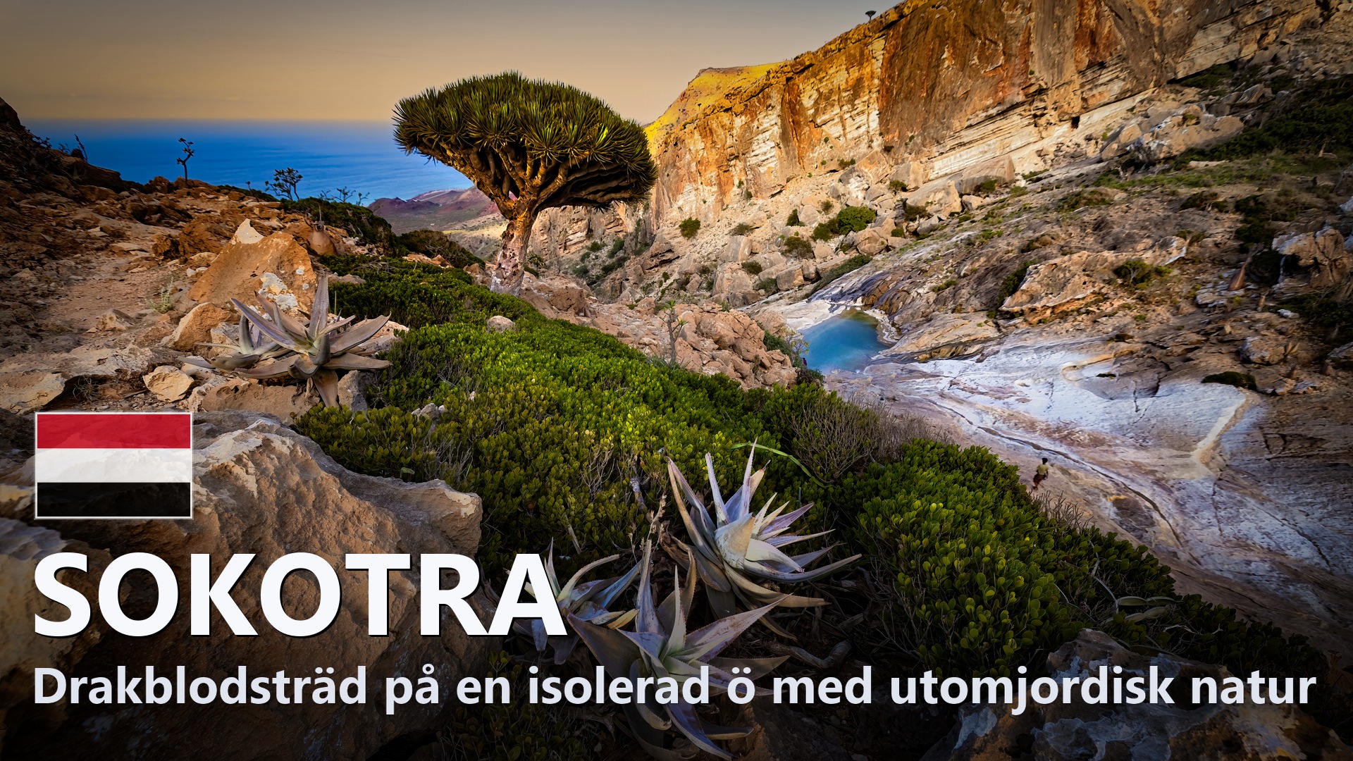 Sokotra – Reseguide