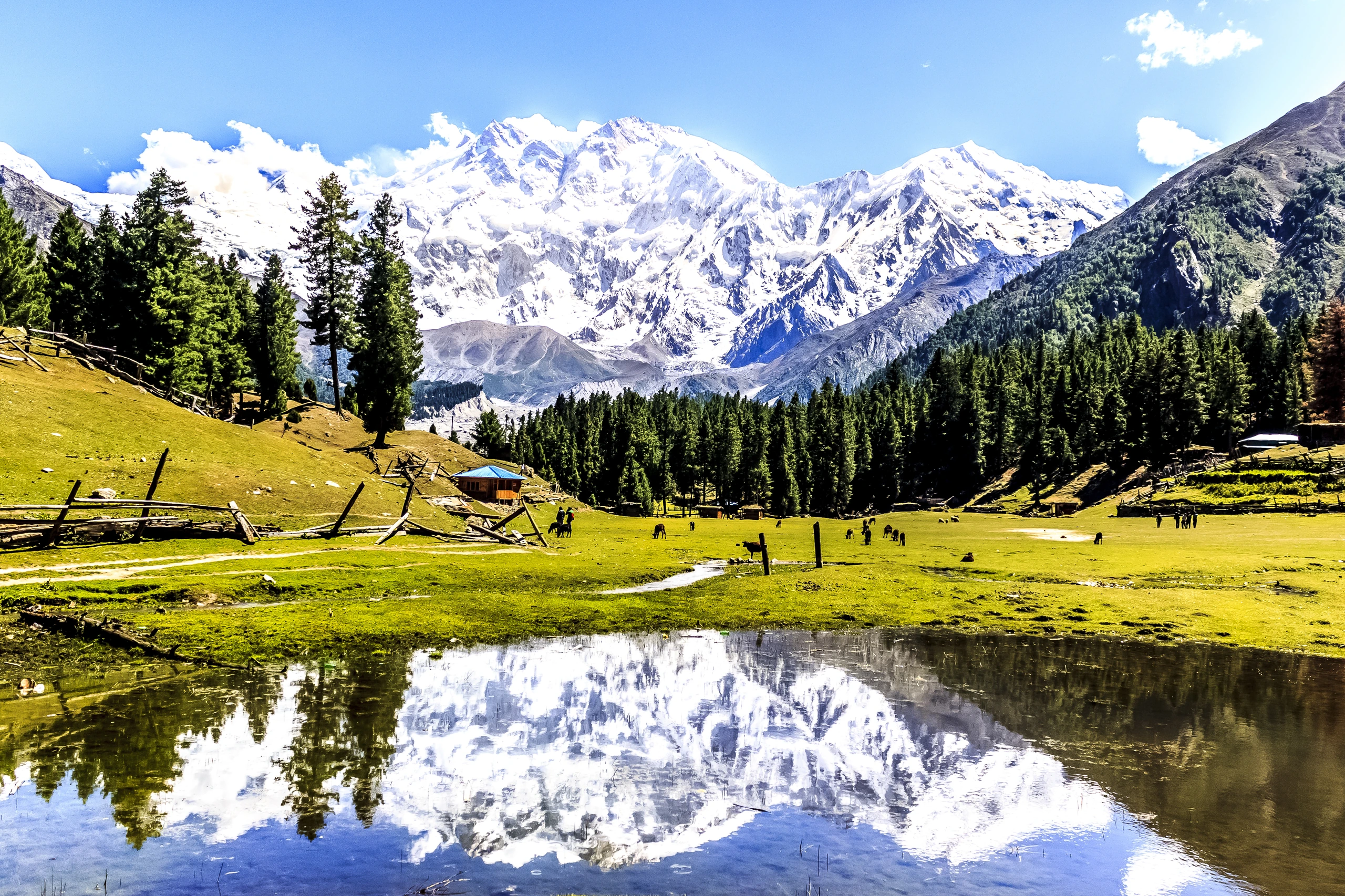 Fairy Meadows vid Nanga Parbat, Pakistan