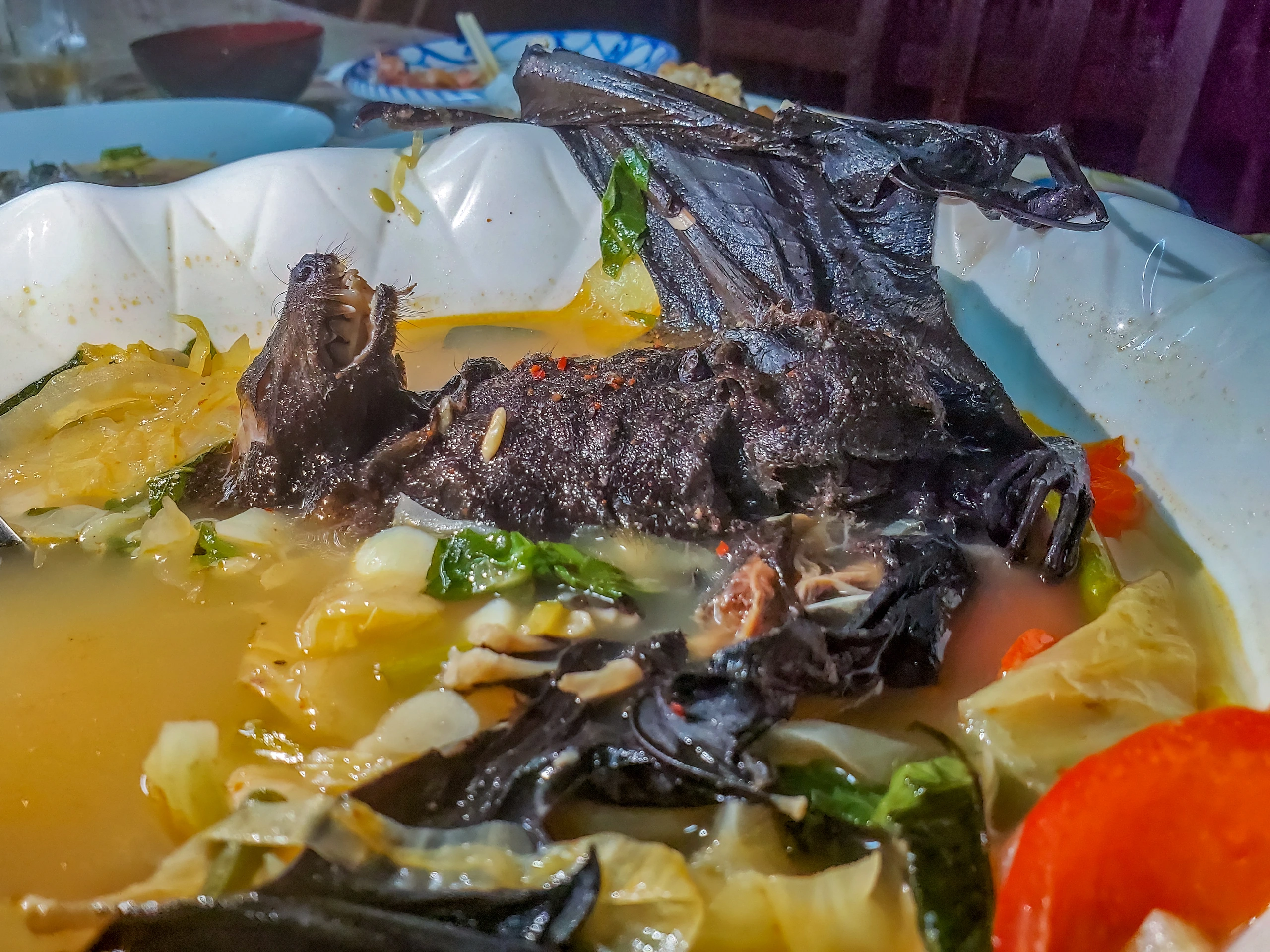 Fruit bat soup i Palau