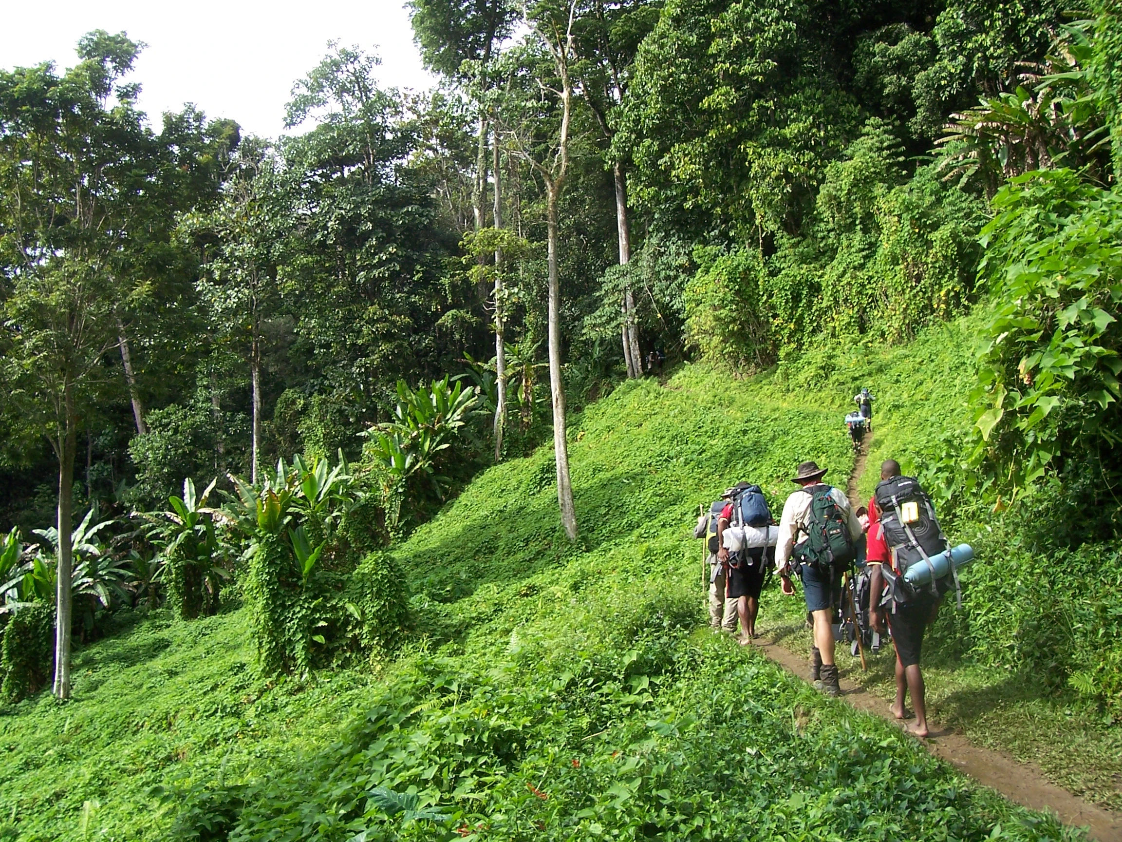 Kokoda Track, Papua Nya Guinea