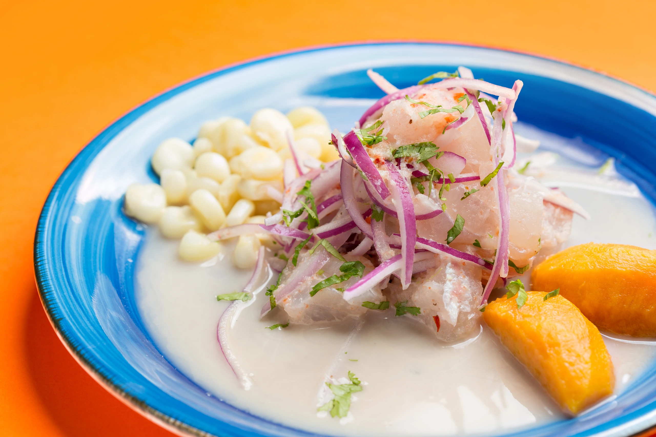 Skaldjur ceviche från Peru