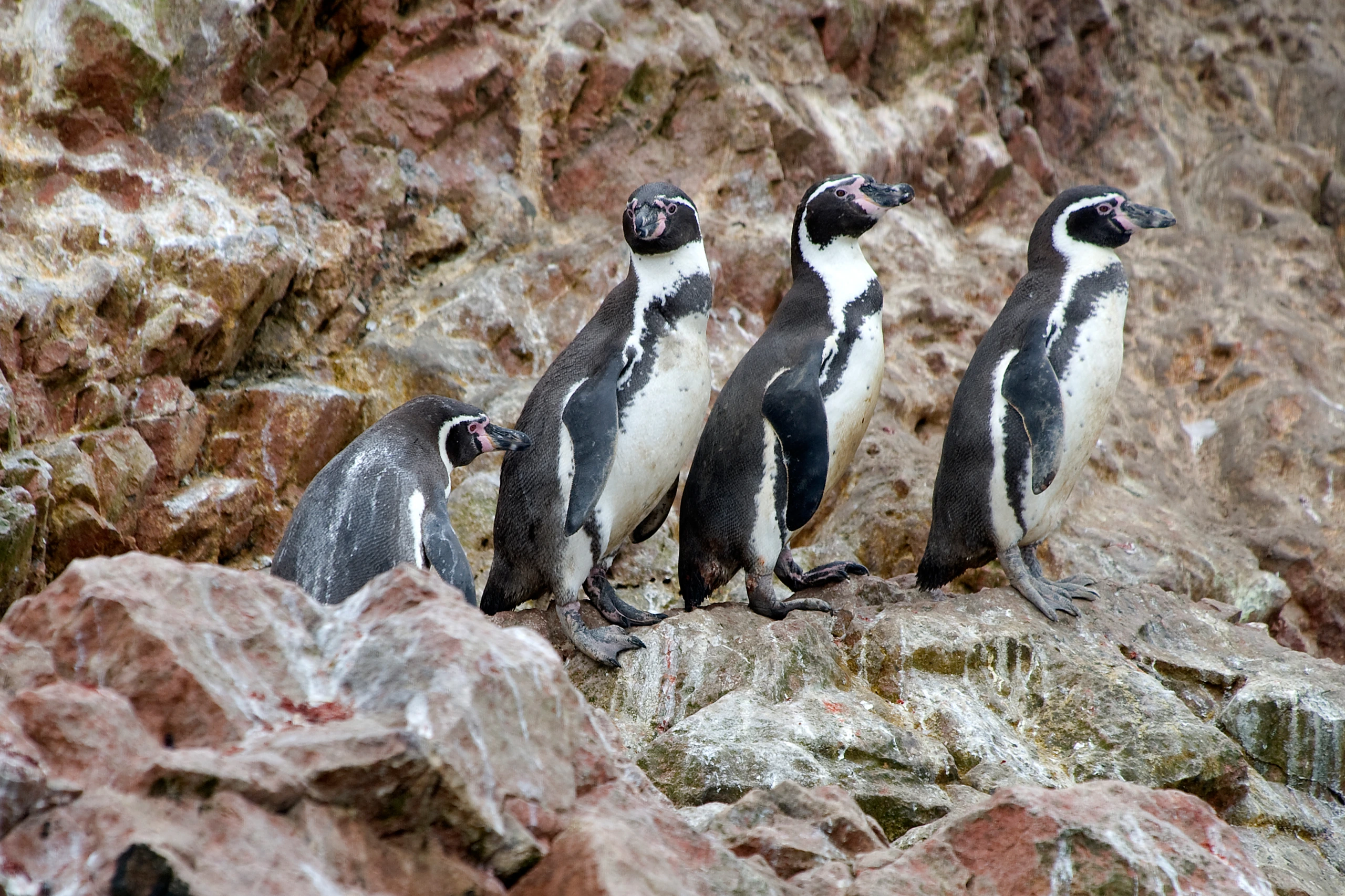 Peru