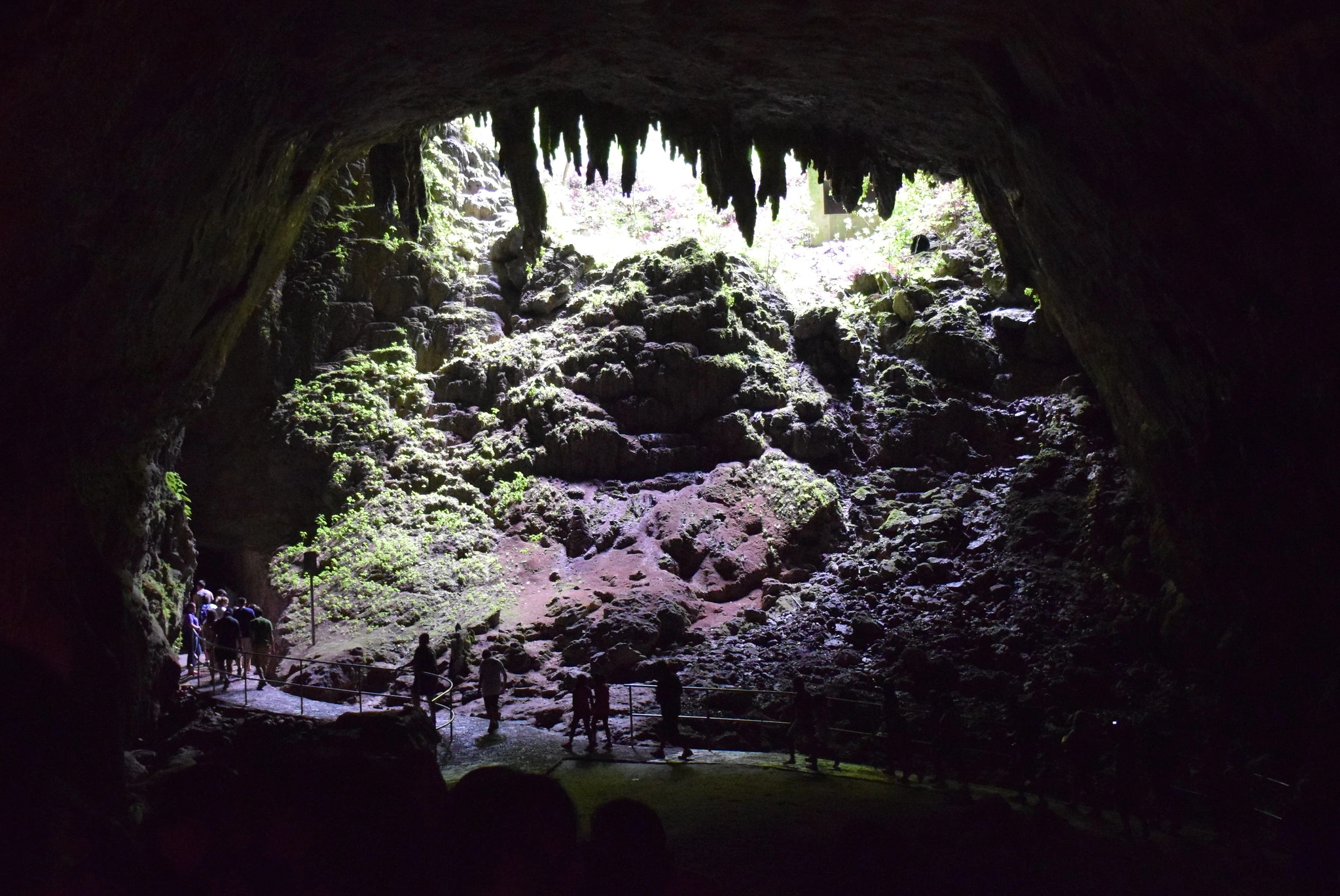 Rio Camuy Cave Park, Puerto Rico